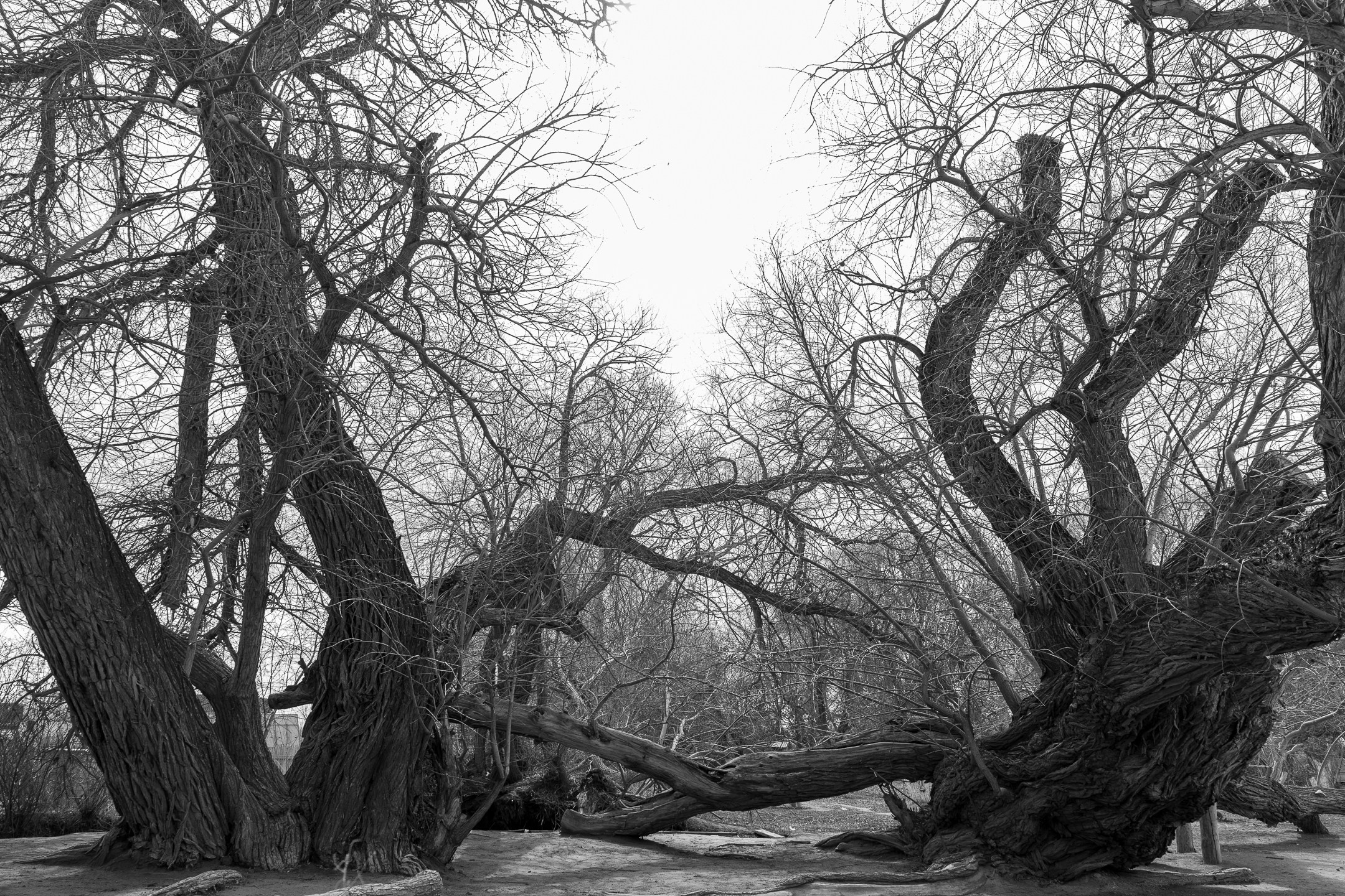 Фотосессия на поющем бархане национальный парк Казахстана Алтын Эмель. Dmitriigoliapov.ru