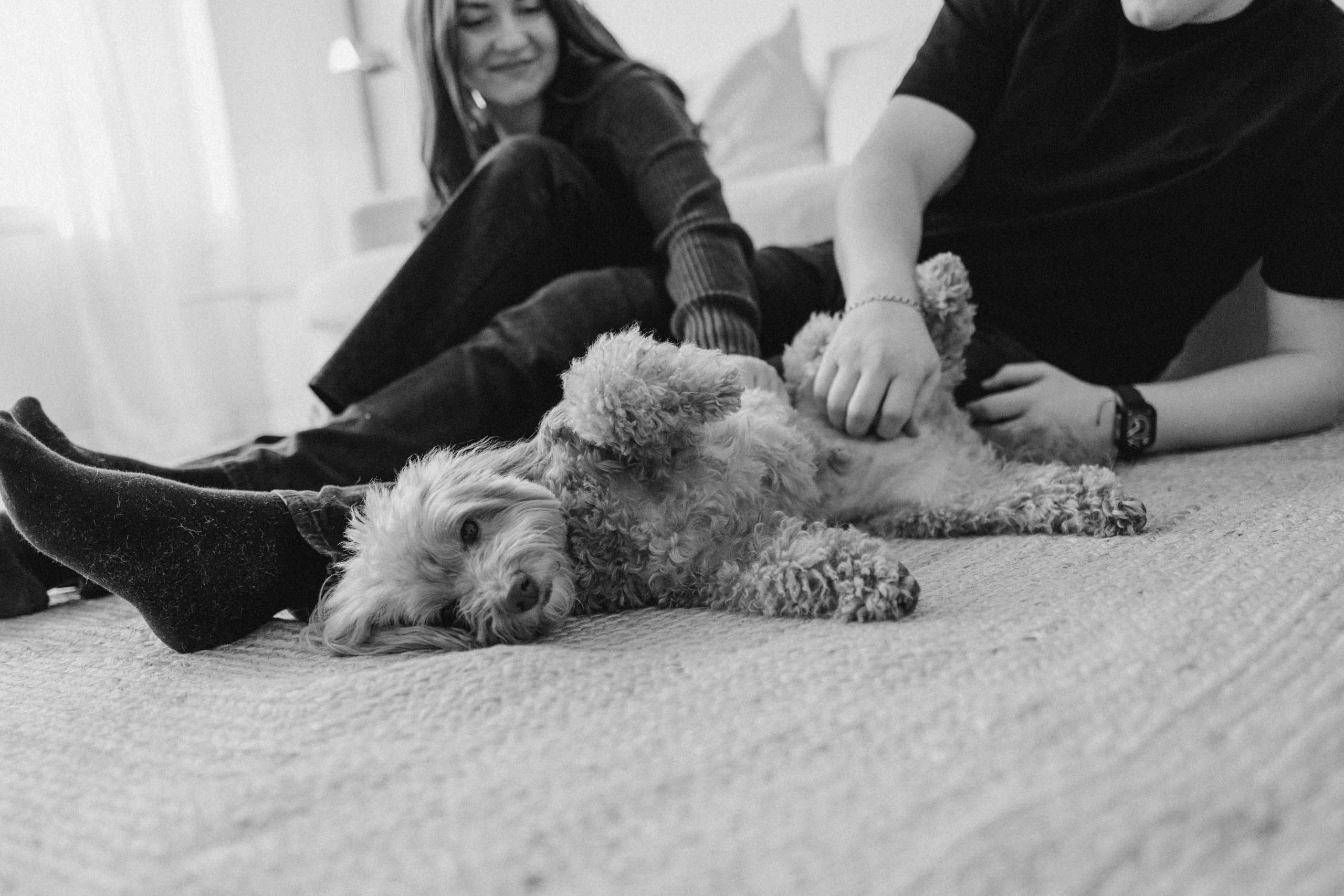 Шкипер и его семья. Фотограф — Анималист | Санкт-Петербург