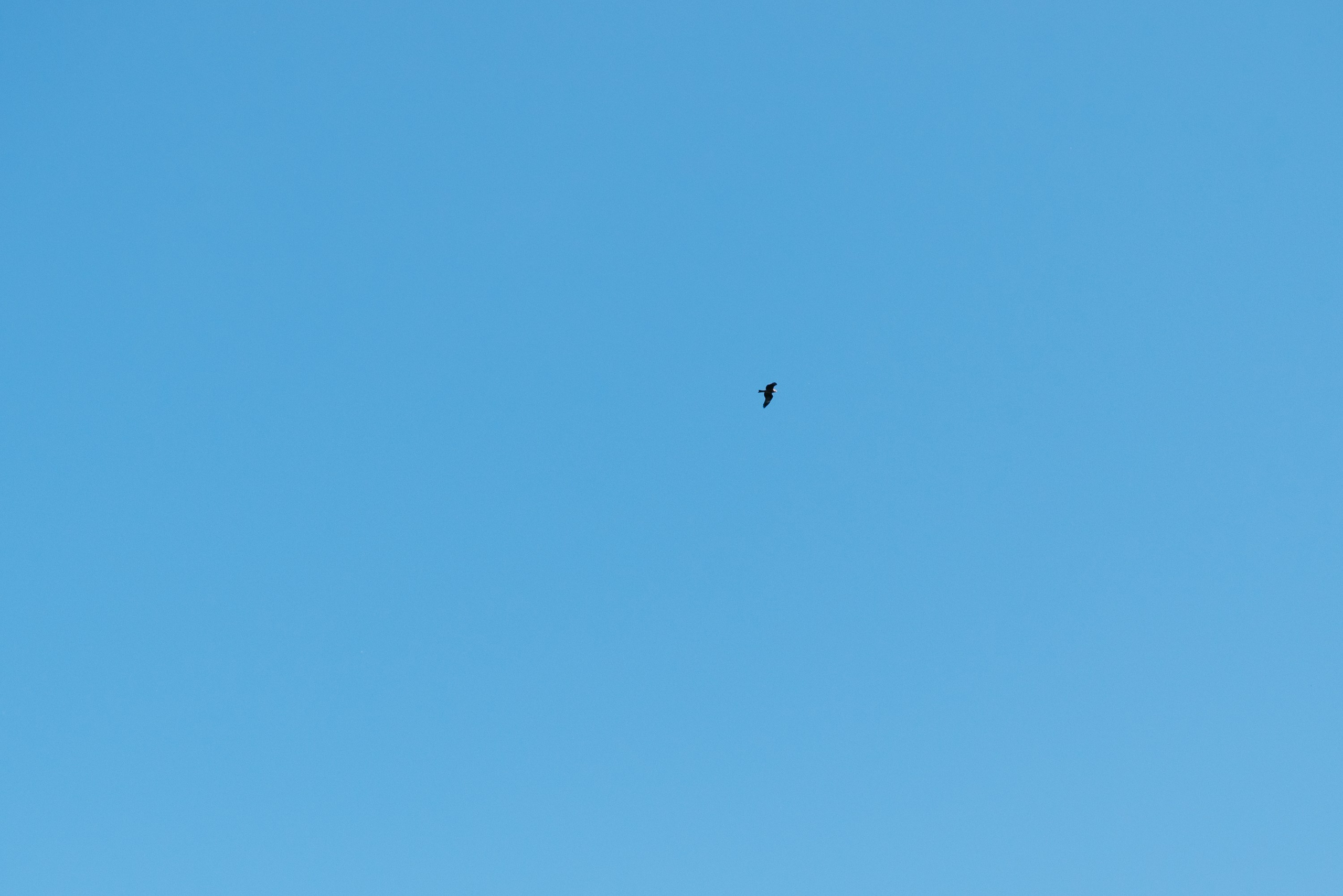 Мотоцикл на свадьбе. Свадебный фотограф Ижевск Петр Шишков