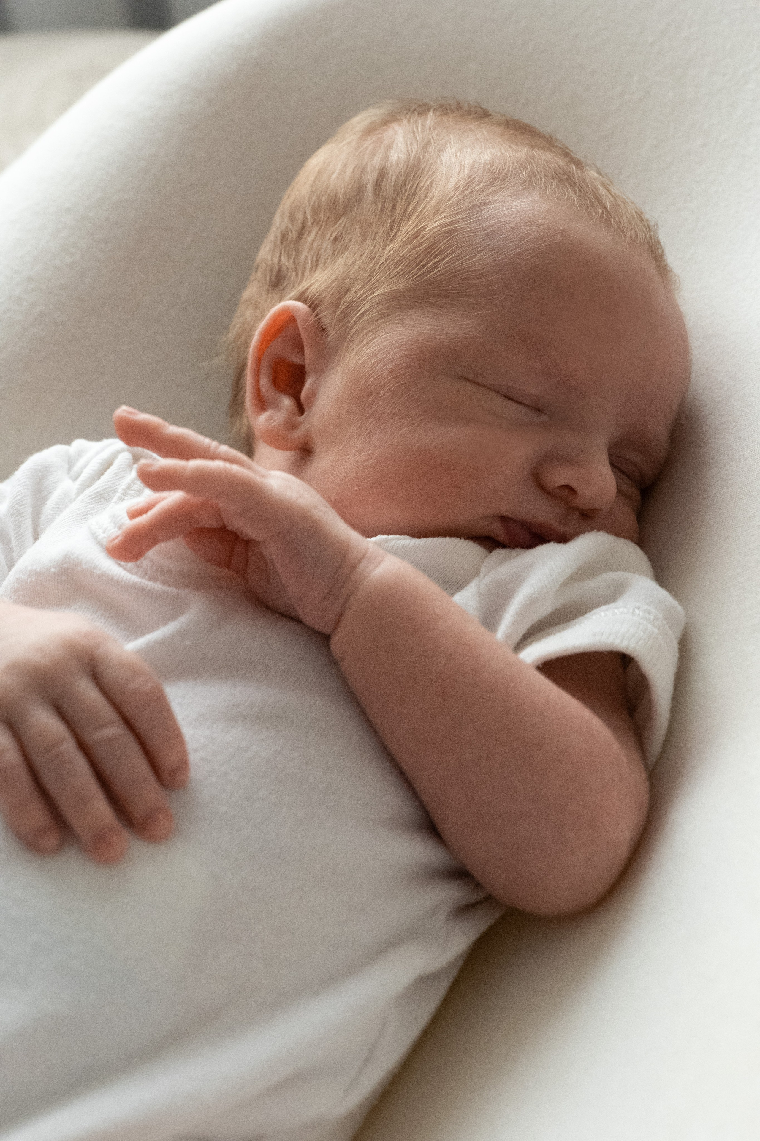 Первые дни жизни Лёшки. Фотограф видеограф Ольга Василевская