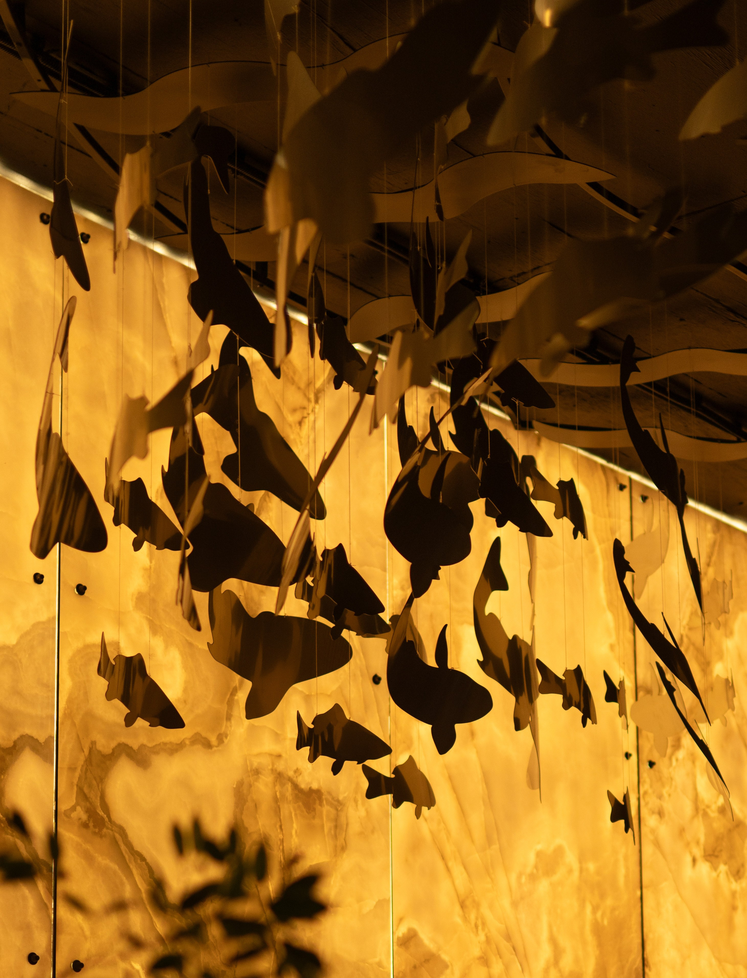 Натали День Рождения. Фотограф в Иркутске на все важные случаи жизни