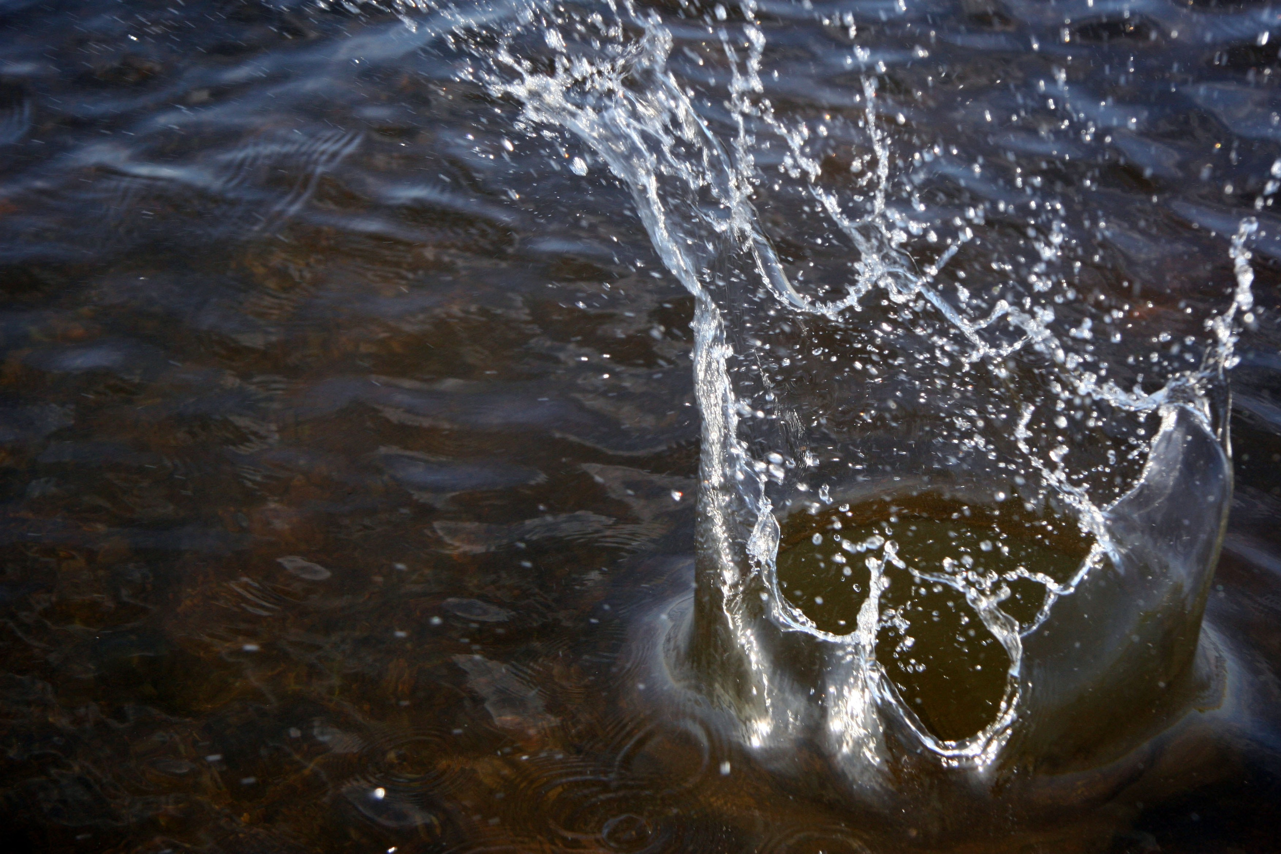 Фото Природы Забайкалья. Студия Максима Белослюдцева