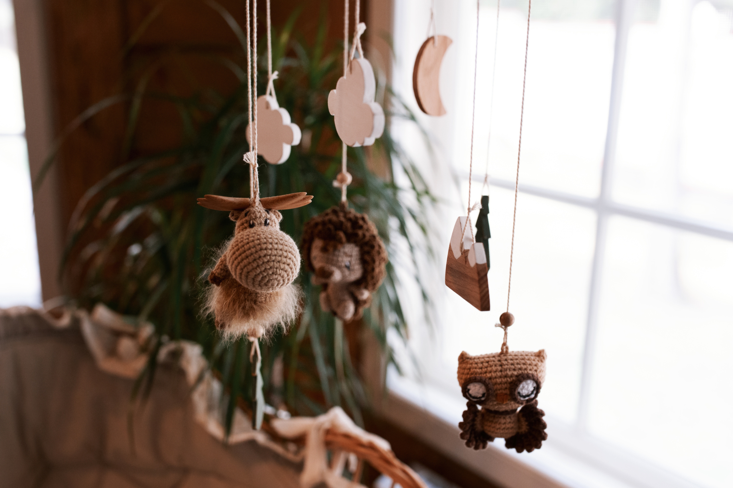 LifeStyle новорождённый (домашняя съёмка)