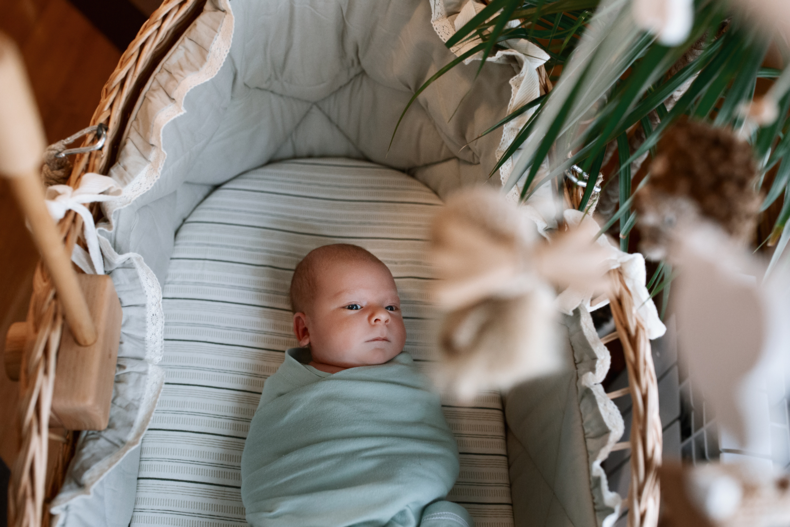 LifeStyle новорождённый (домашняя съёмка)