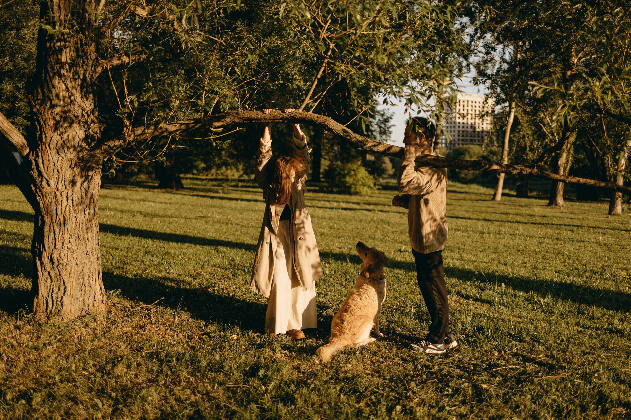 Пенни и ребята. Фотограф — Анималист | Санкт-Петербург