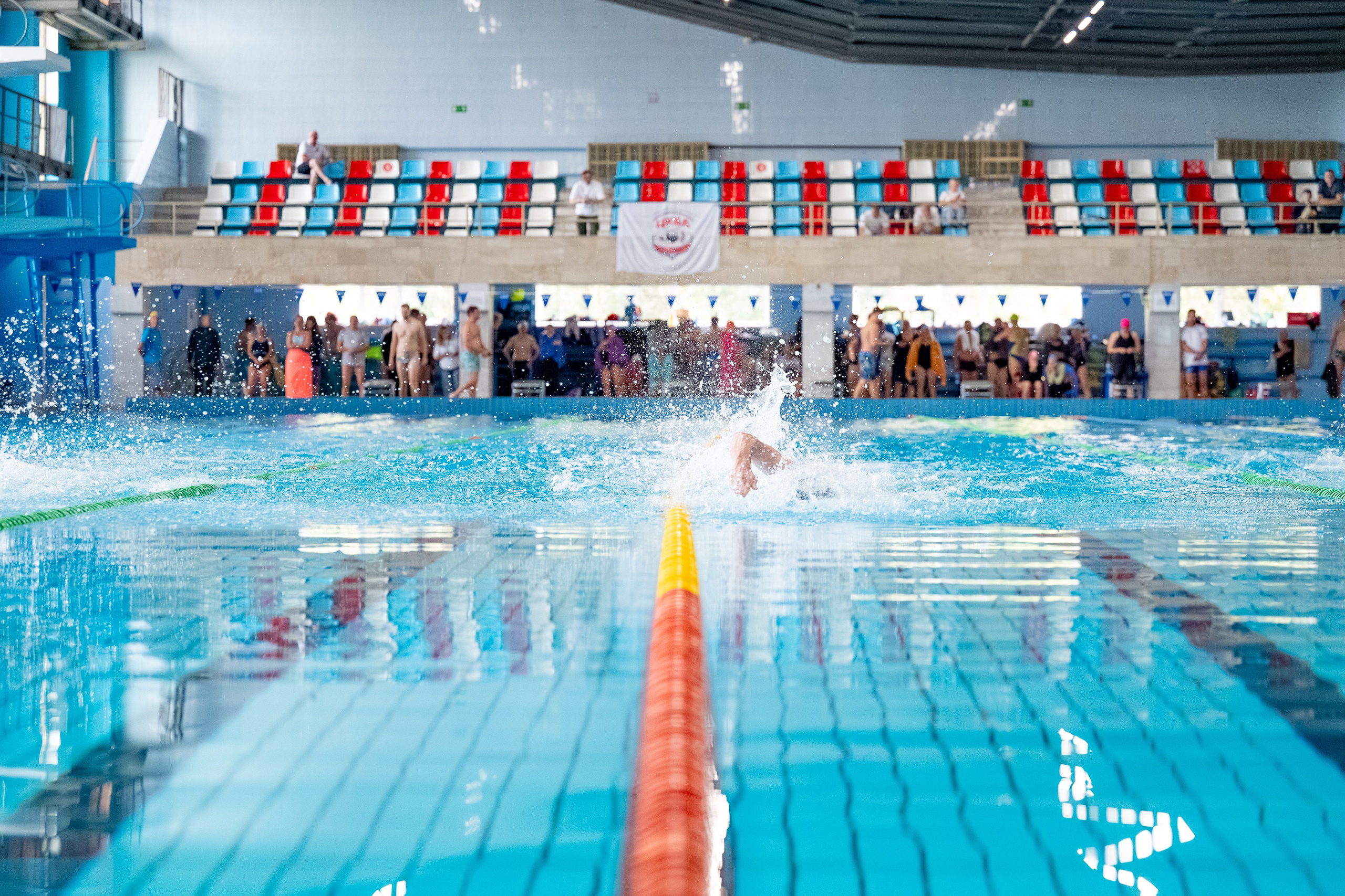 АРКС 2025 Плавание. Фотограф Киселев Егор