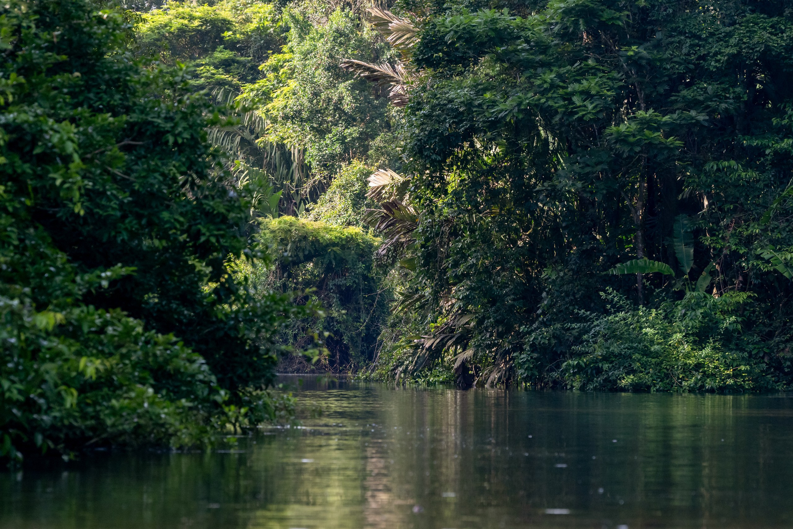 Costa Rica. Foto-Zuev фотография как искусство