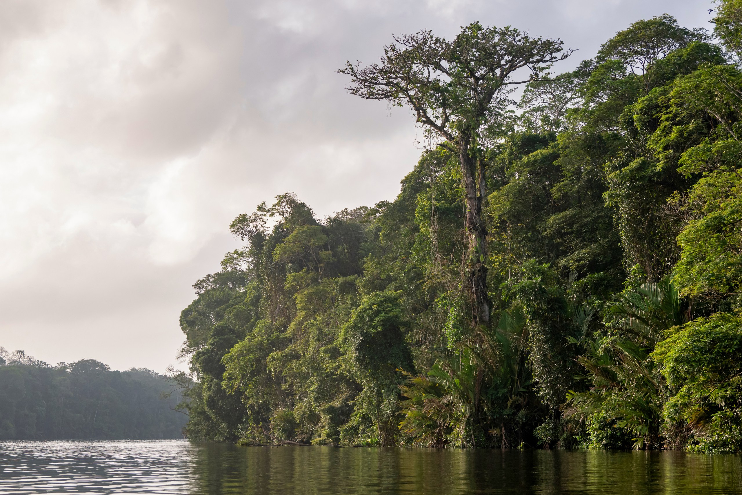 Costa Rica. Foto-Zuev фотография как искусство
