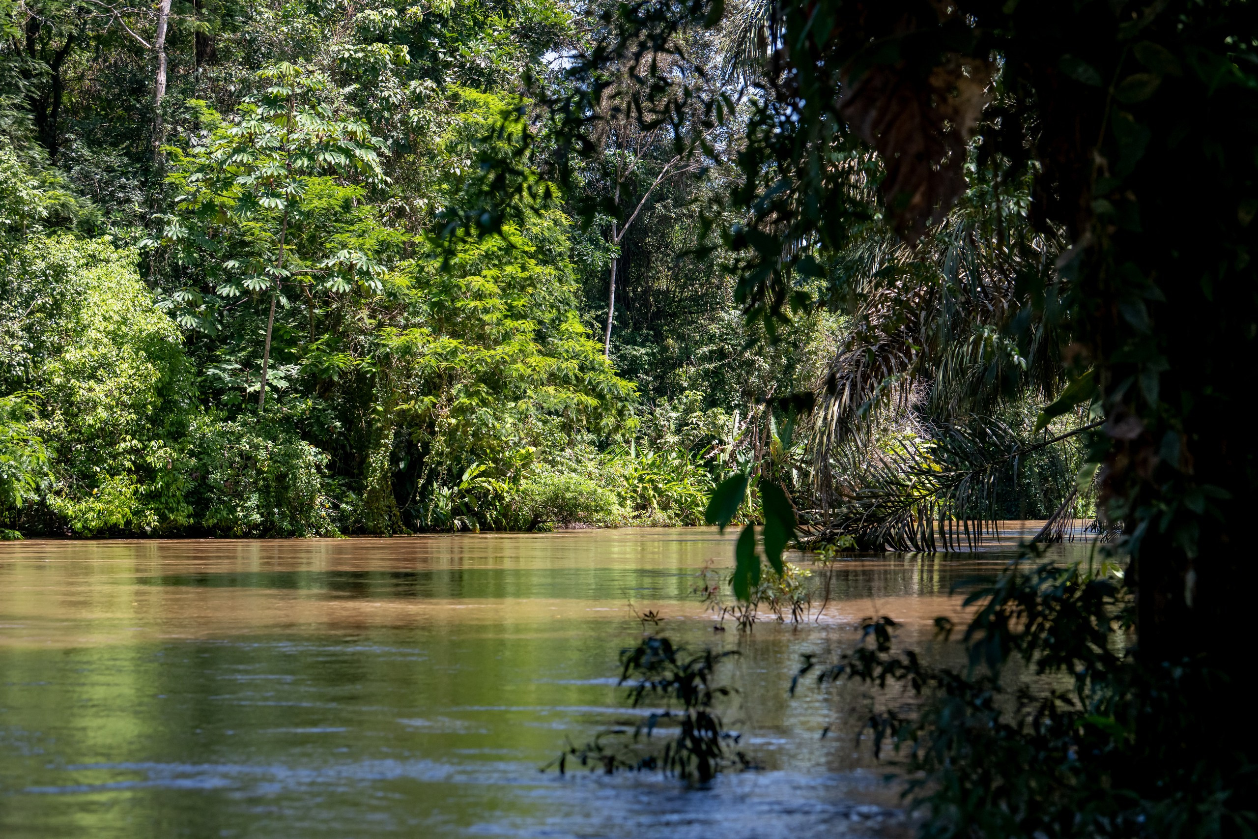 Costa Rica. Foto-Zuev фотография как искусство