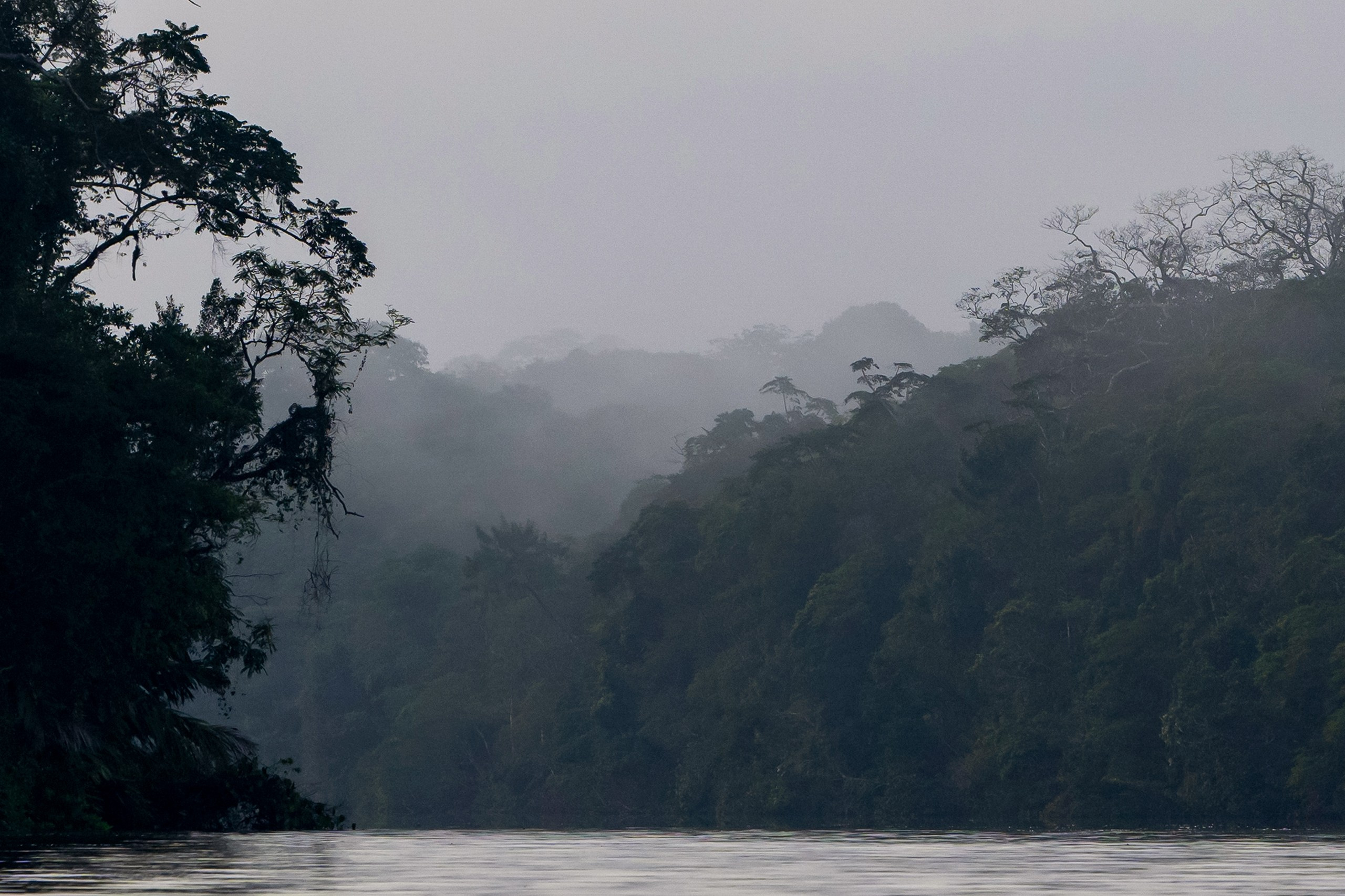 Costa Rica. Foto-Zuev фотография как искусство