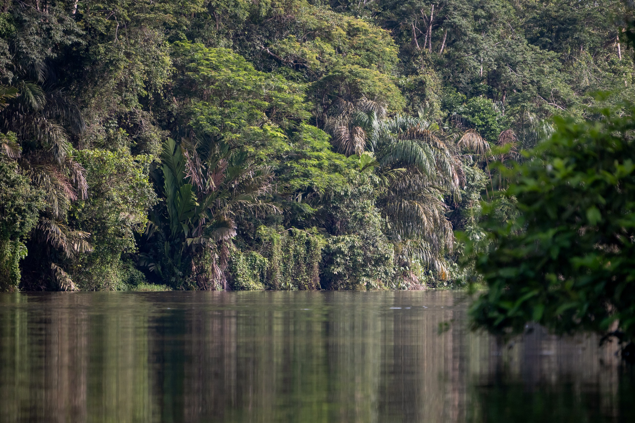 Costa Rica. Foto-Zuev фотография как искусство
