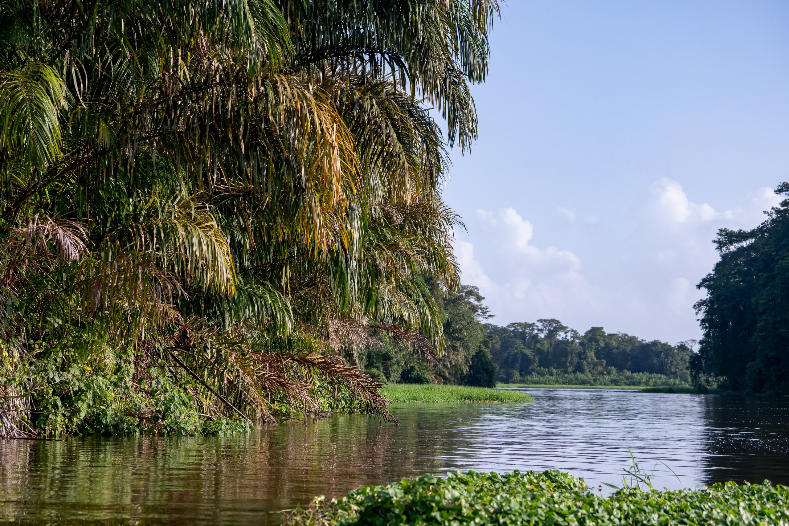 Costa Rica. Foto-Zuev фотография как искусство