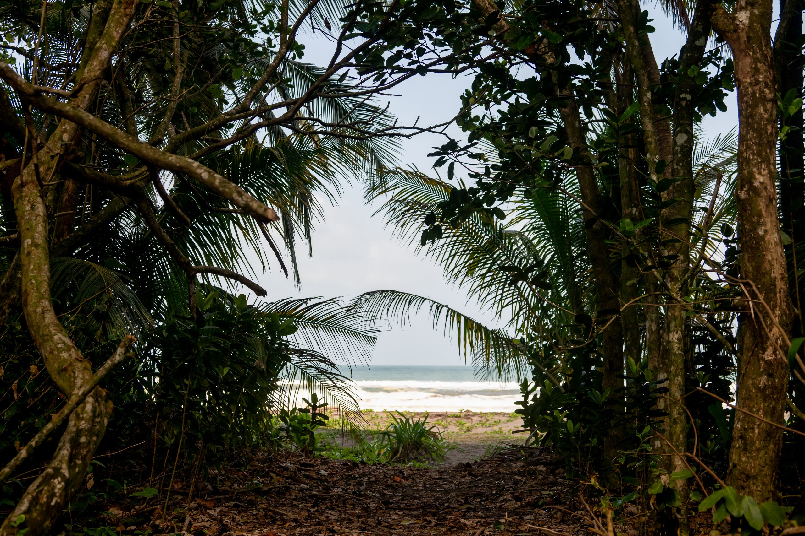 Costa Rica. Foto-Zuev фотография как искусство