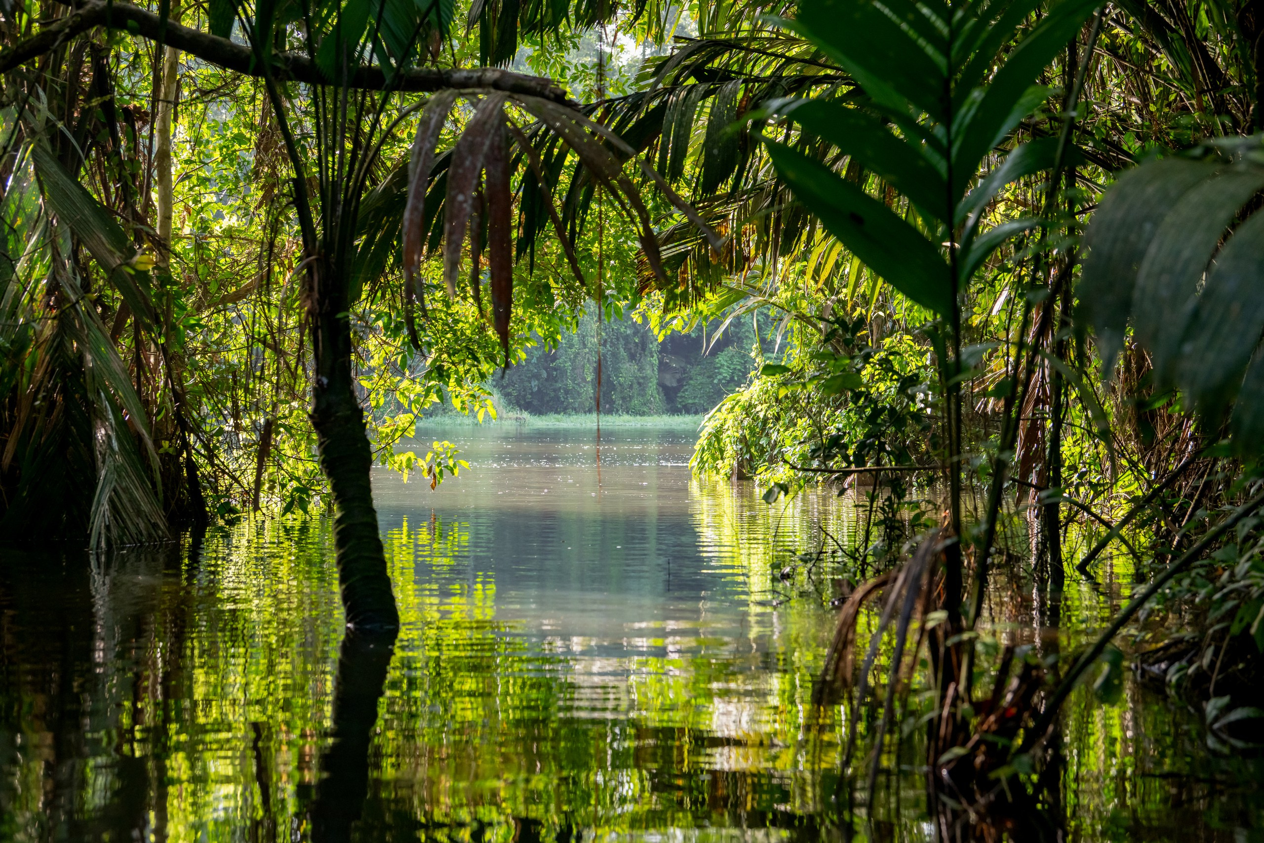 Costa Rica. Foto-Zuev фотография как искусство