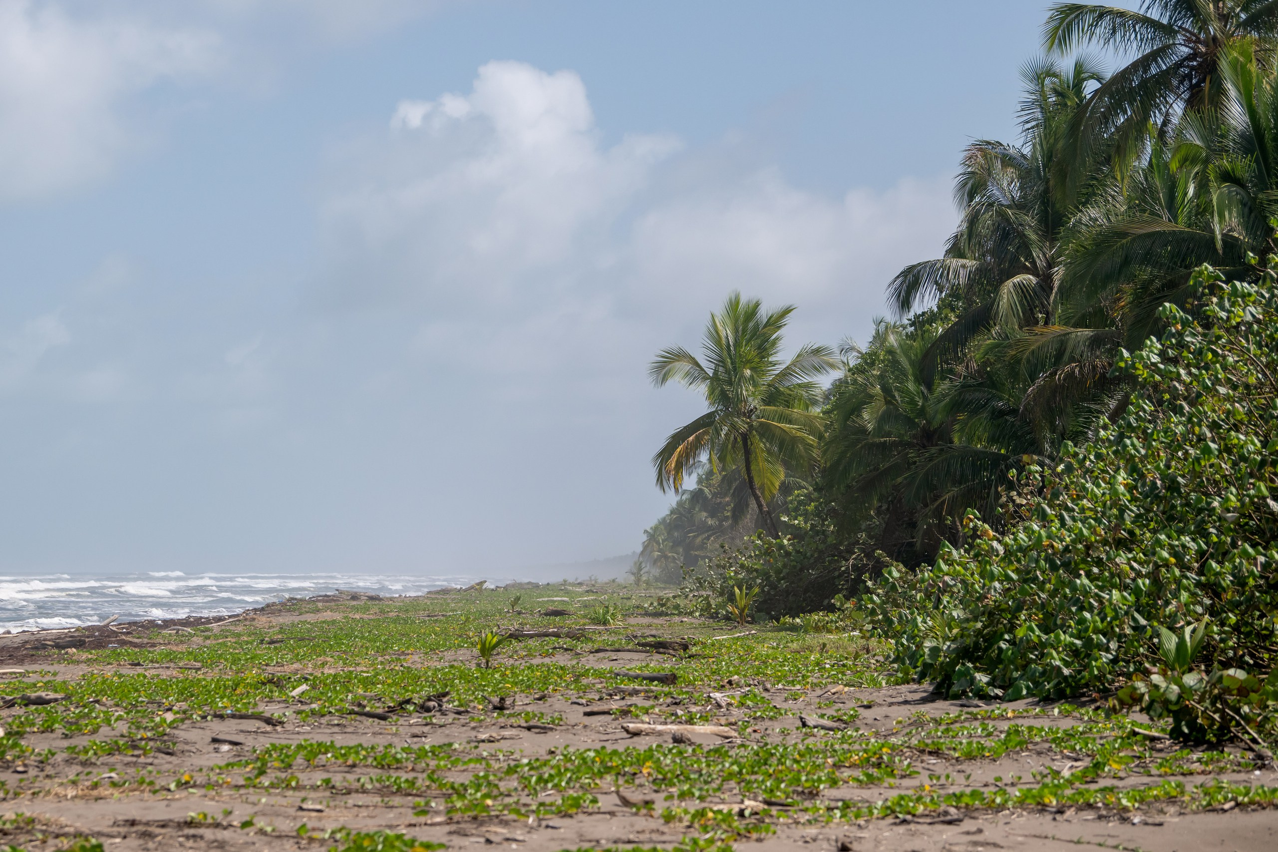 Costa Rica. Foto-Zuev фотография как искусство