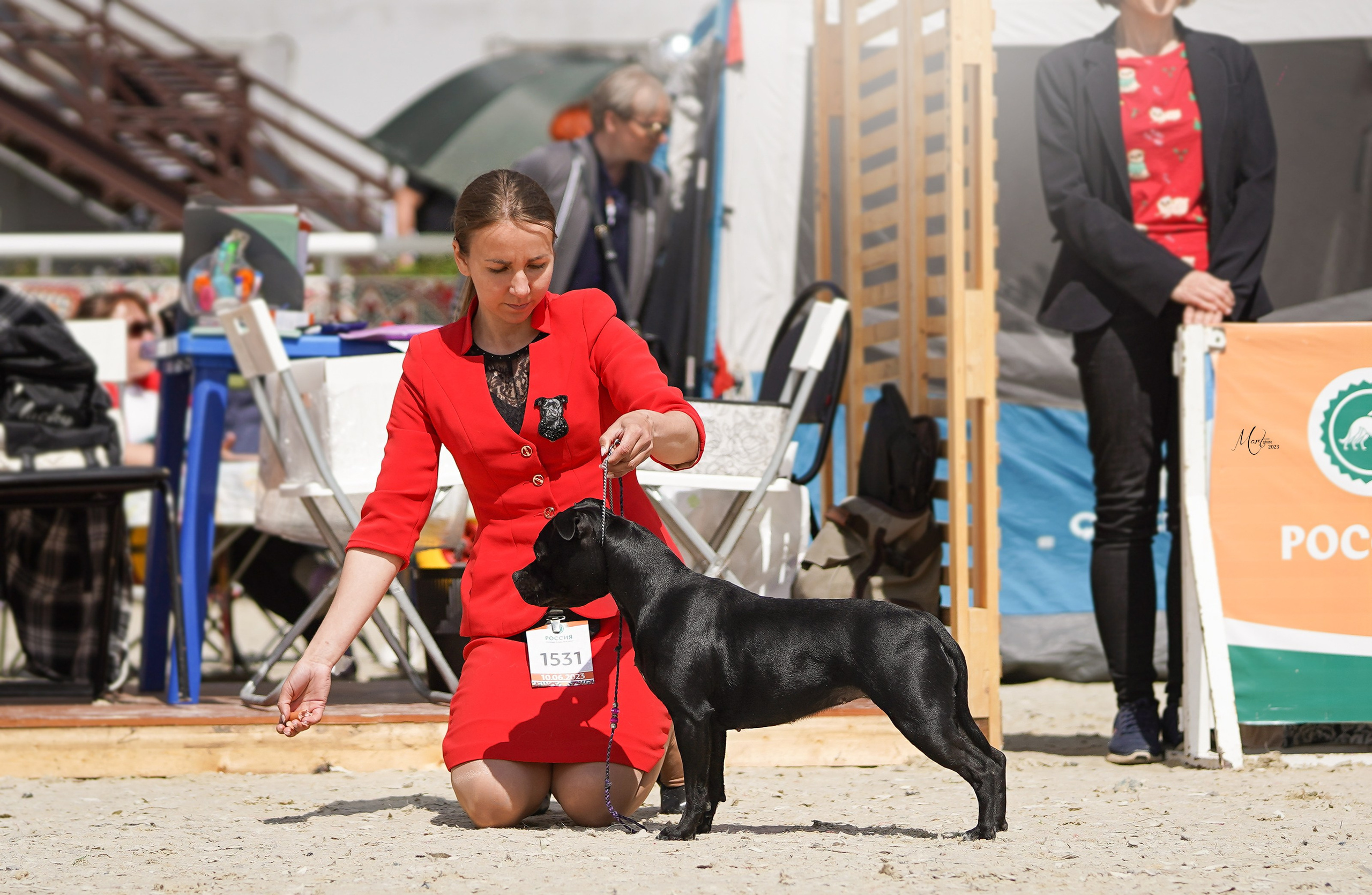 Выставки 2023. Фотограф-анималист в Санкт-Петербурге Яна Мартынова