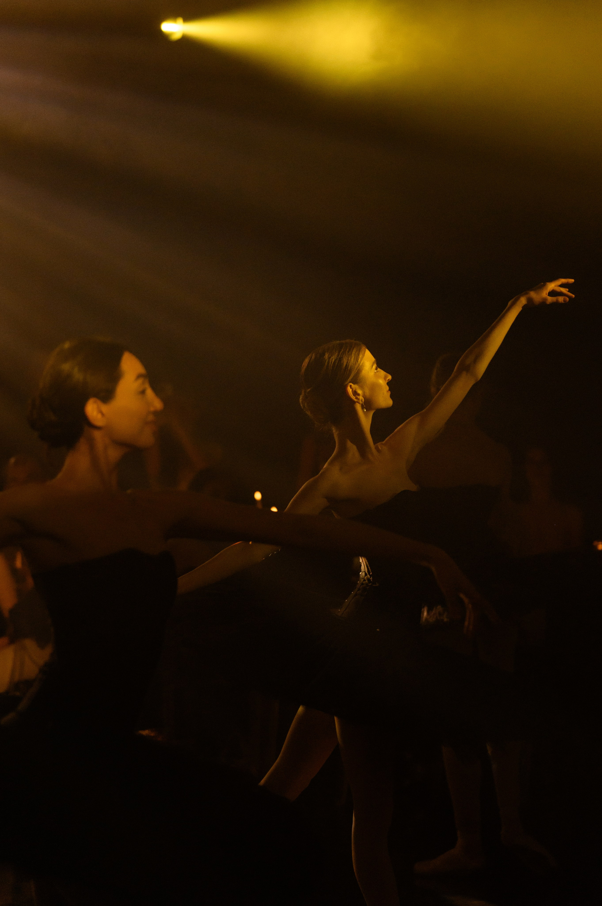 Никита и Ника. Свадебный фотограф и видеограф