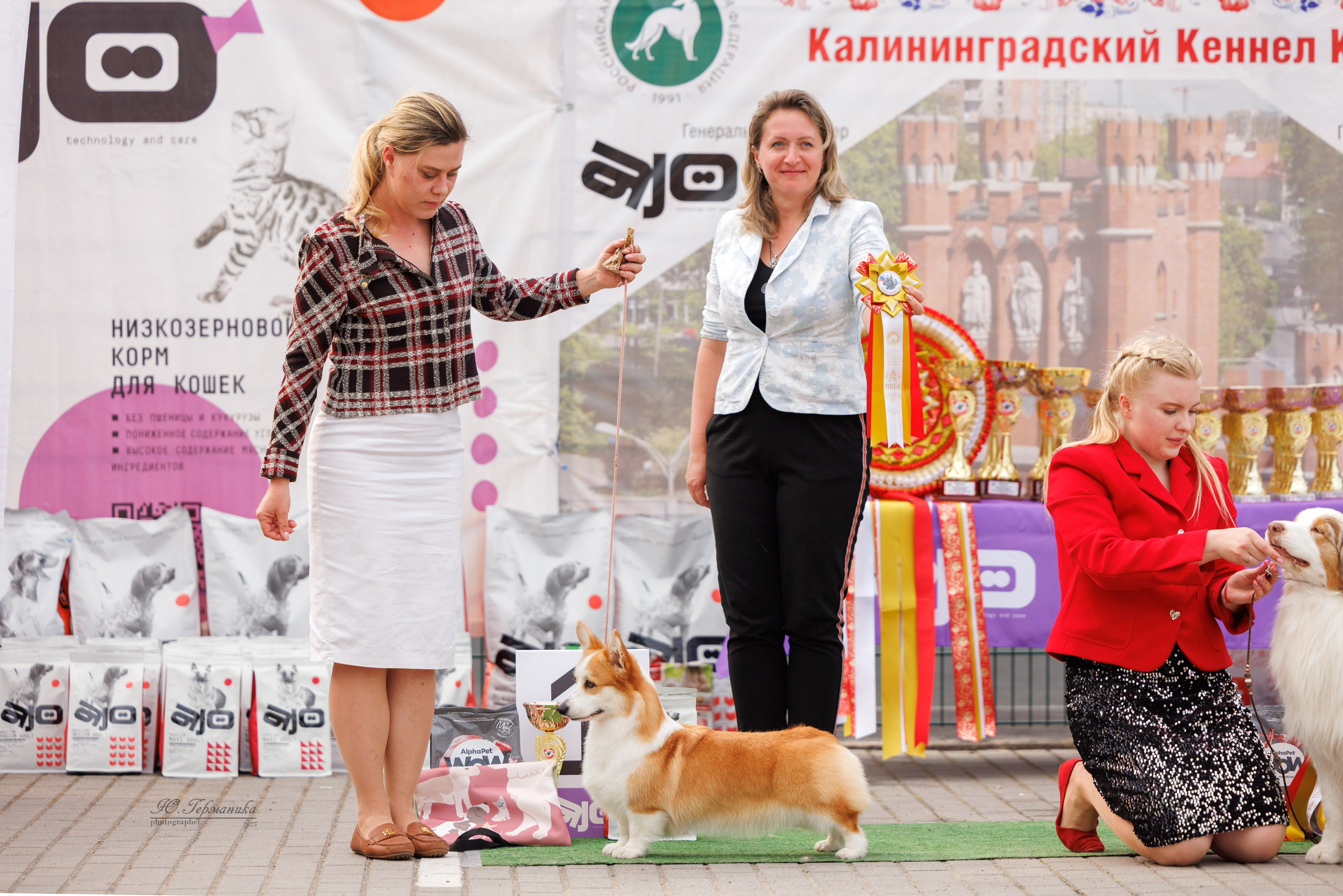 Калининград 25-27.07 Волгоград 1-3.08 2025. Фотограф-анималист Юлия Германика