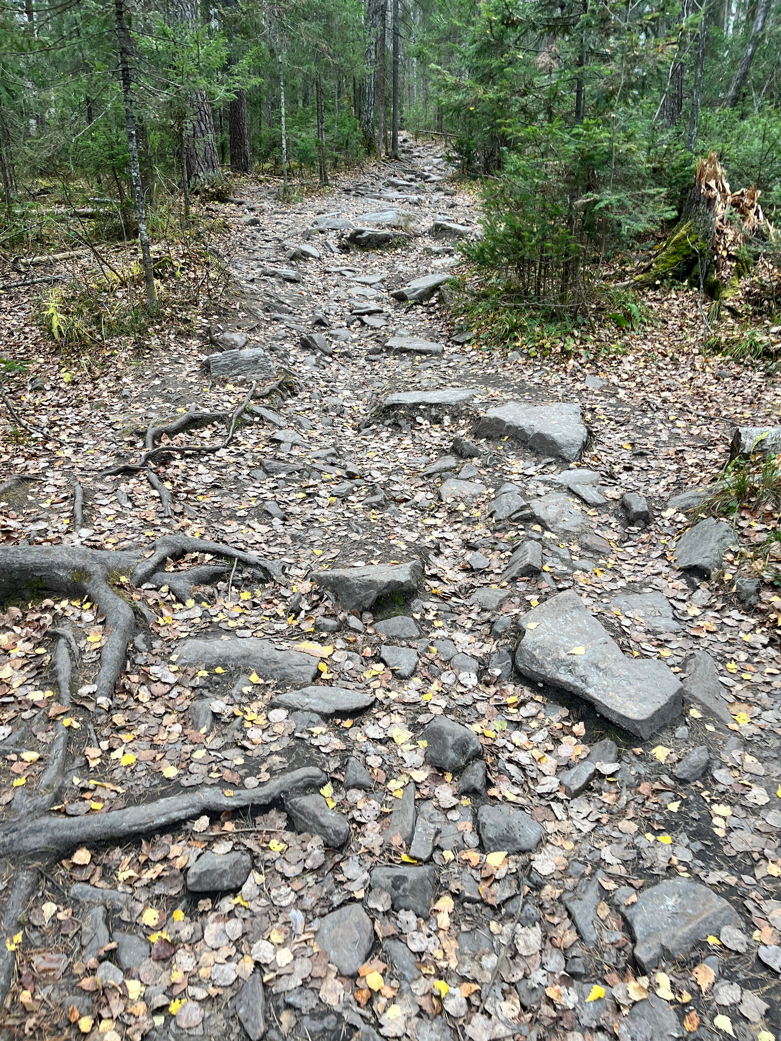 Тур на Таганай из Уфы — Время Приключений