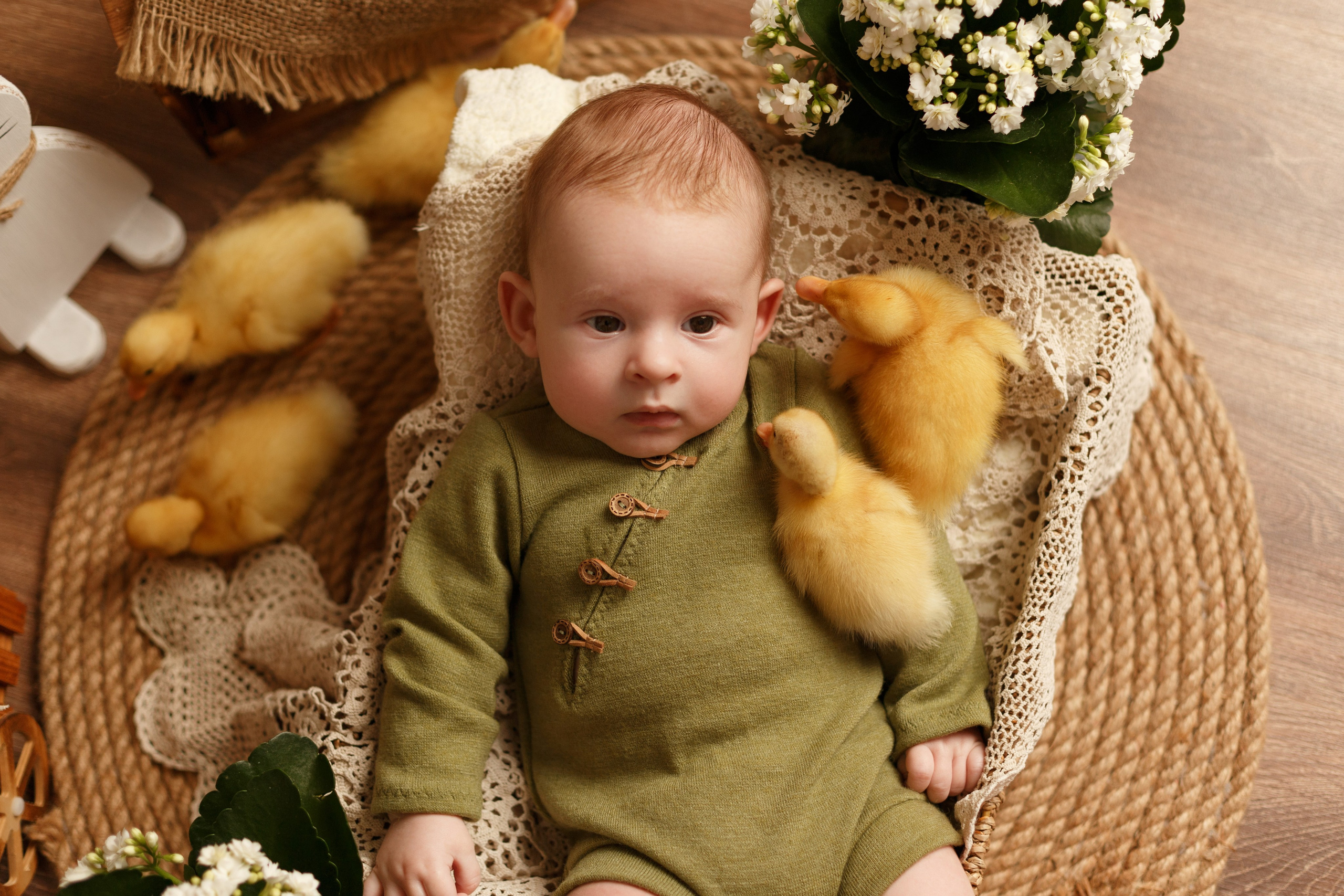 Фотопроекты. Фотограф новорождённых семейный фотограф Томск Елена Каплина