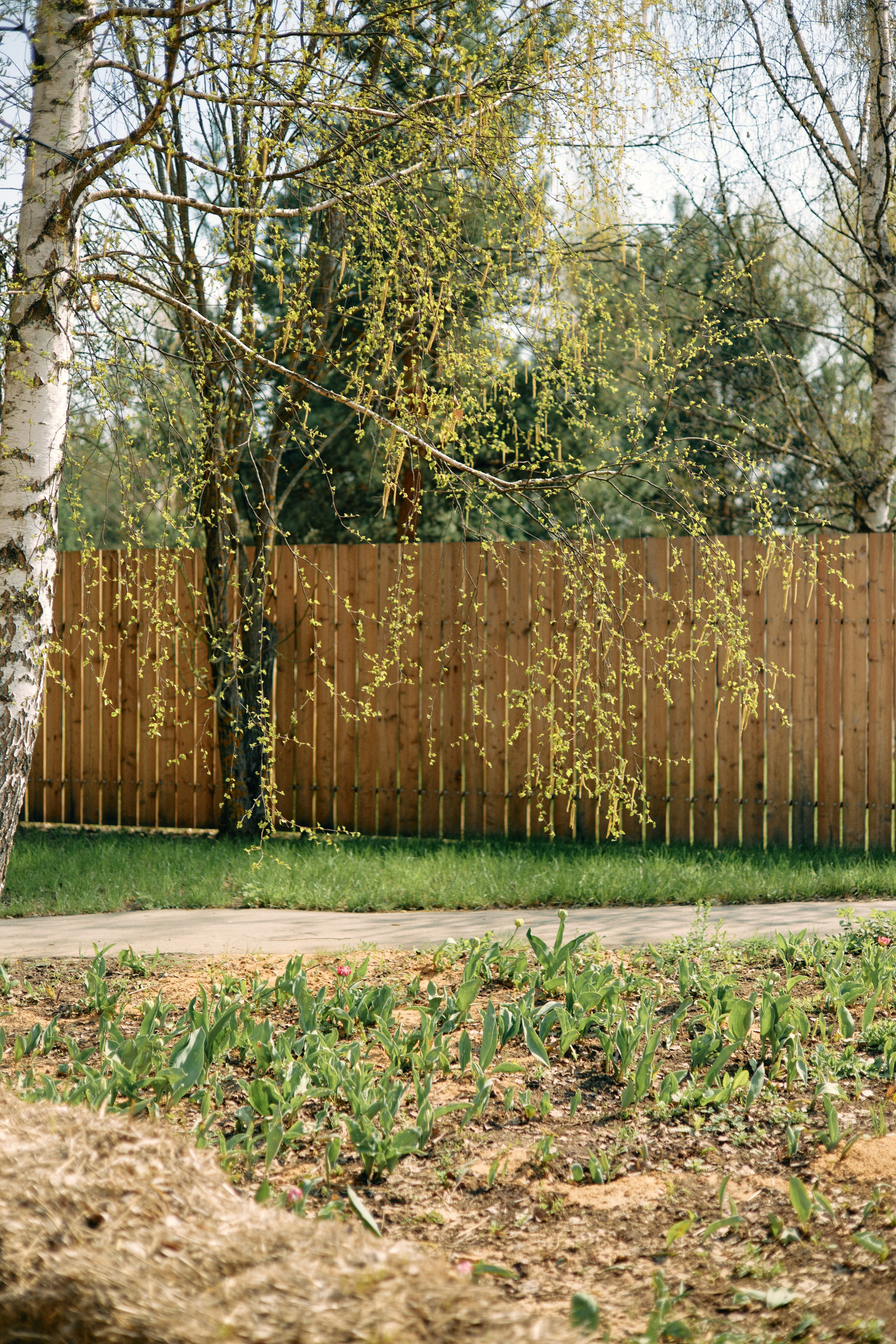 Бутик-отель Поле летом. Профессиональный Фотограф во Владимире, в Москве и в Суздале — Полина Романычева
