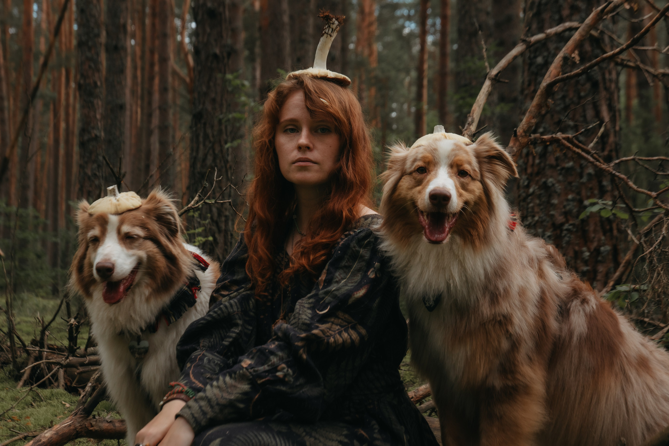Волшебный лес с Тасей, Морошкой и Брусникой. Стас Соболь, фотограф анималист, репортажник, Москва