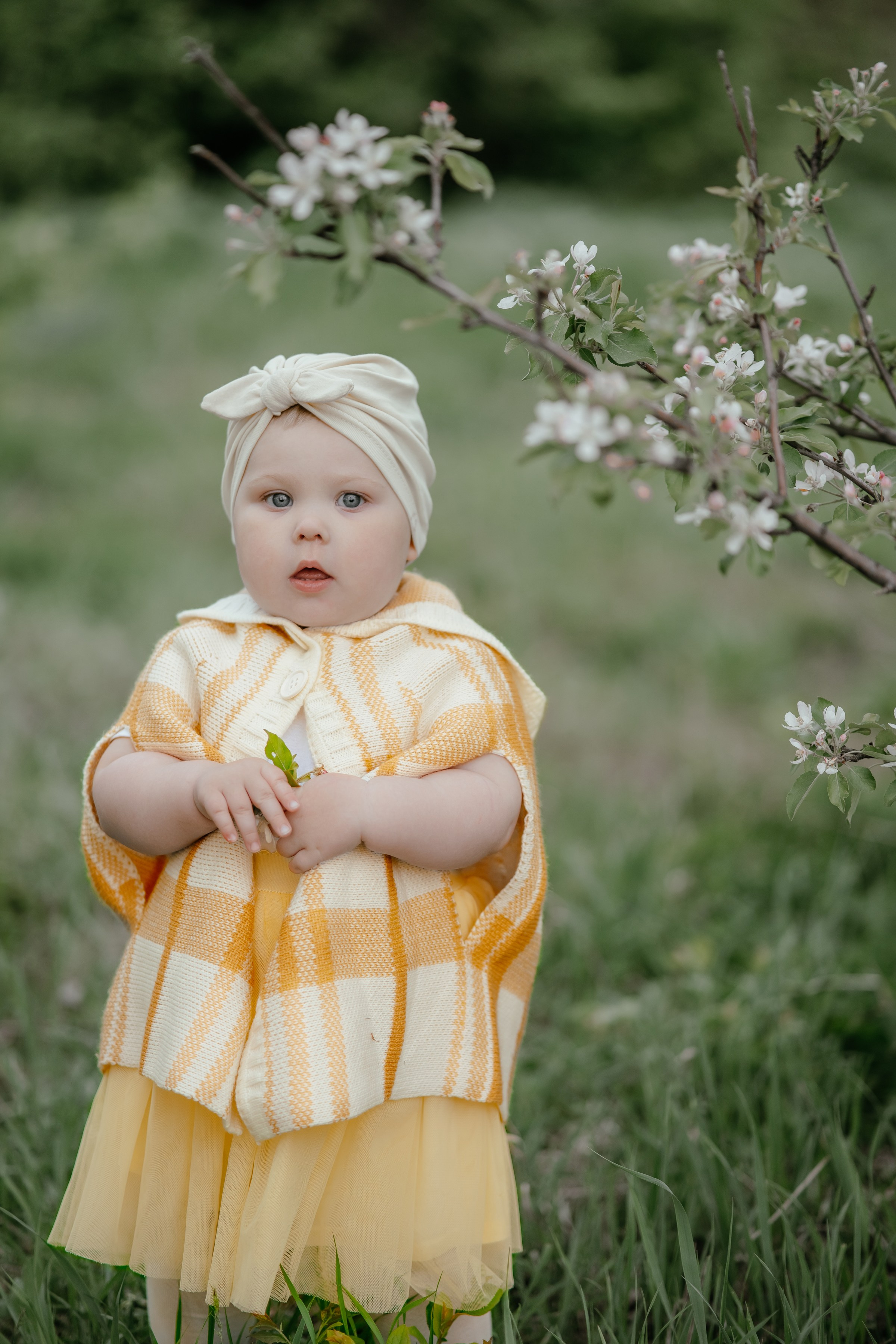 Весенняя, цветущий яблоневый сад. Ольга Плаксина фотограф в Саратове