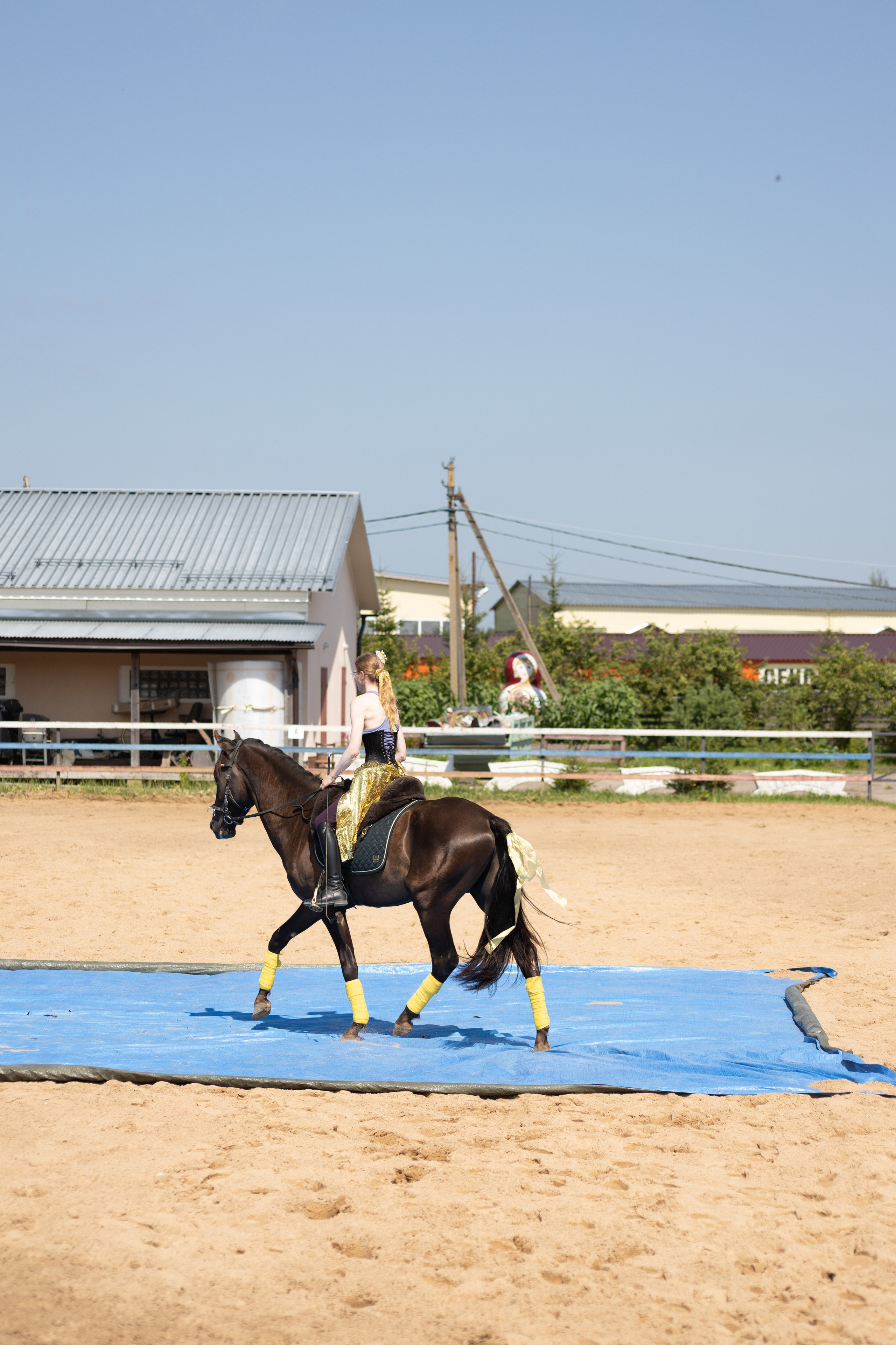 Конюшня. Фотограф в Москве и Истре
