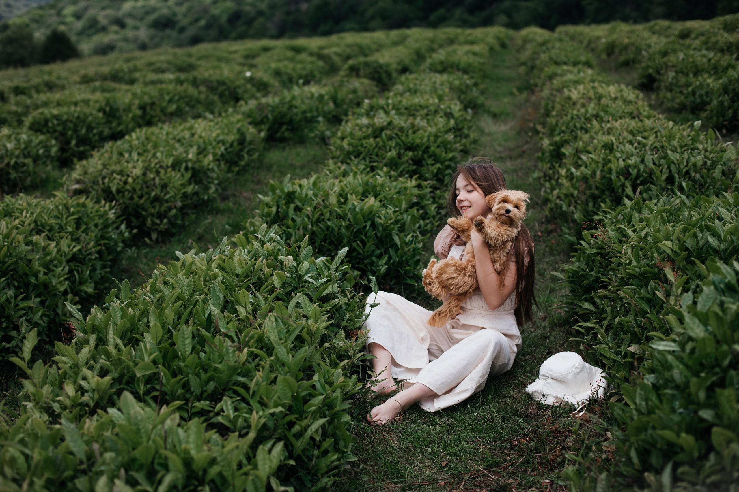 Tea plantation. Efimova Model Agency