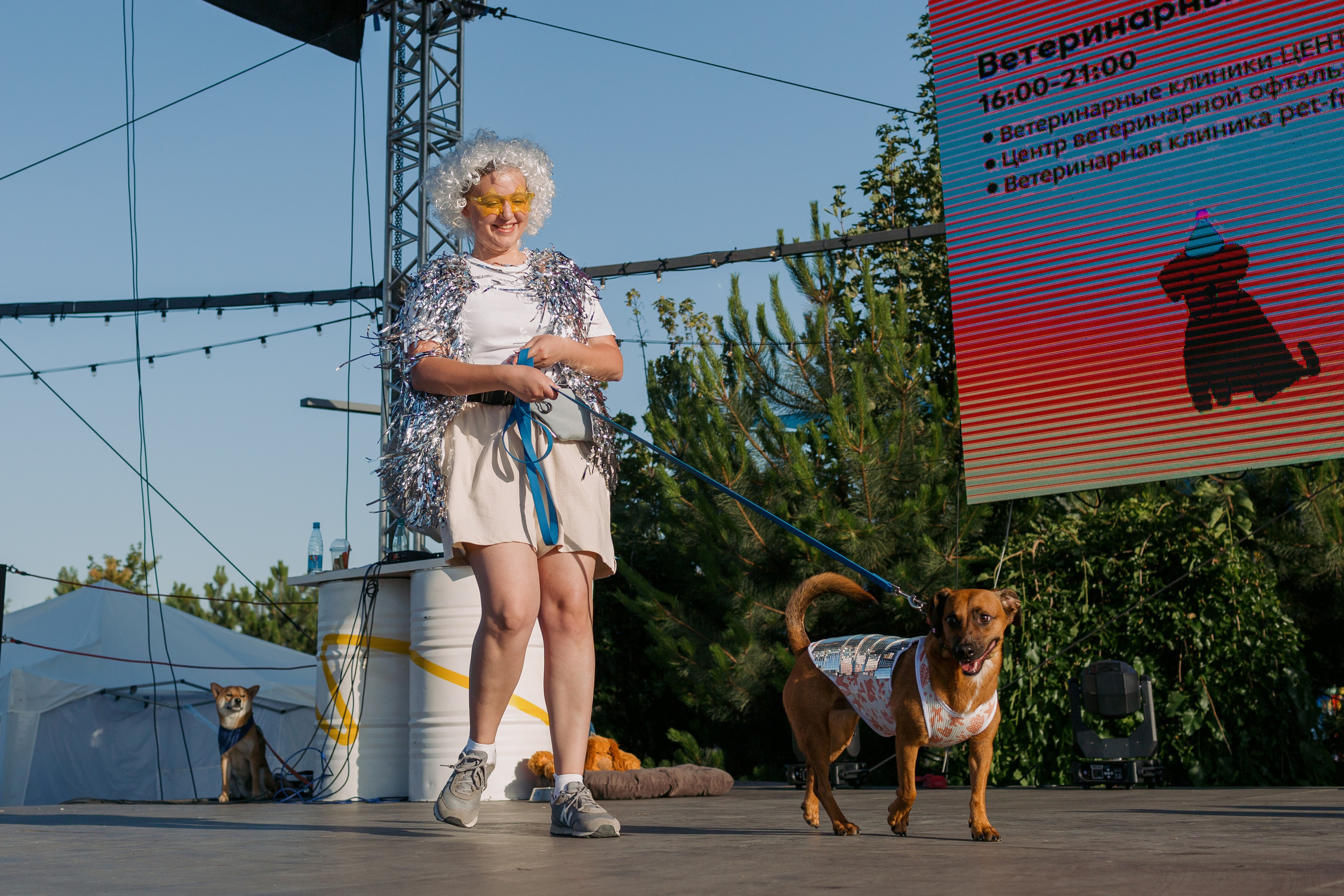 Dog Fest 2024. Главная