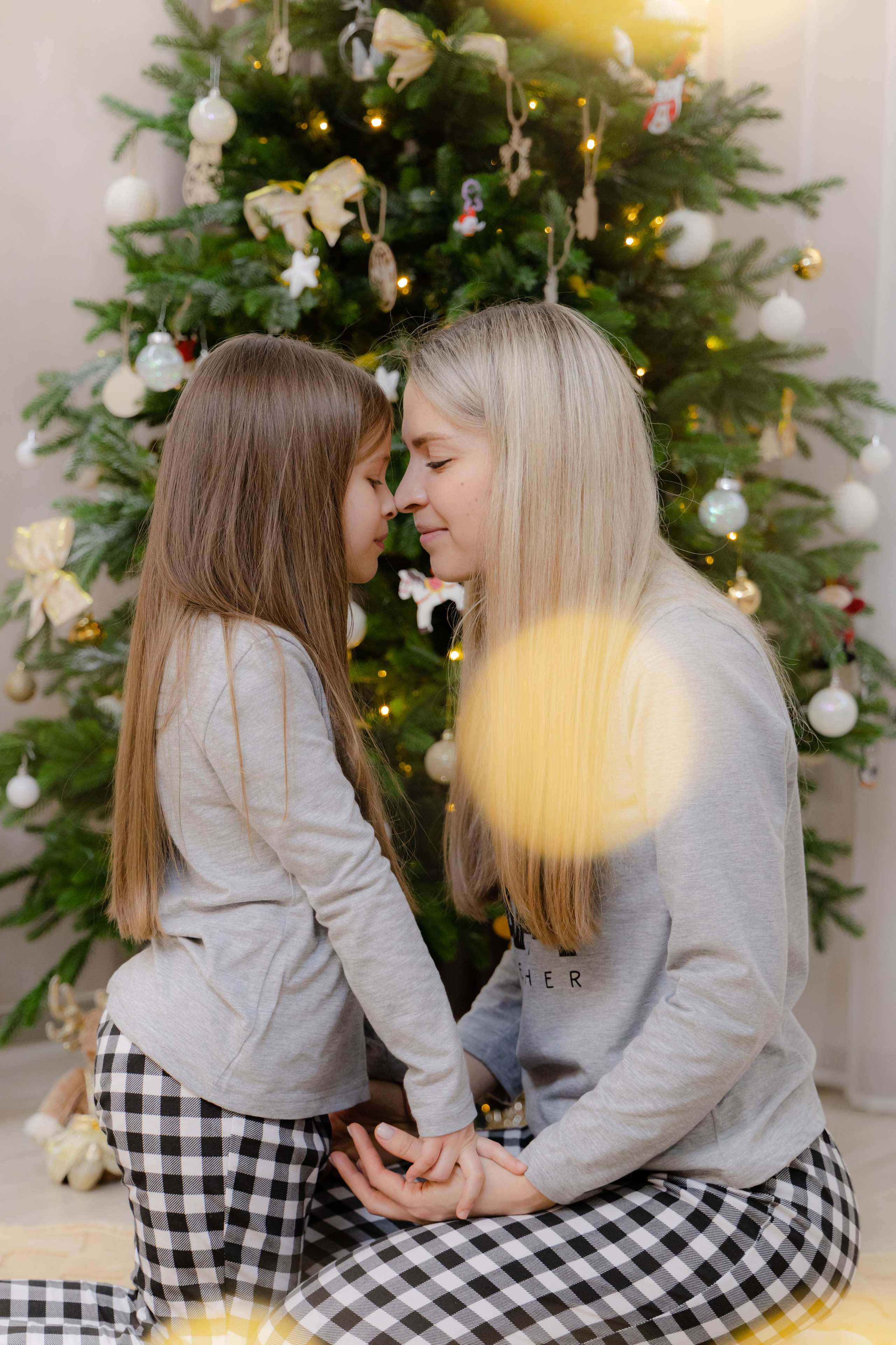 Семейный Новый год. Фотограф Братск Юлий Дежин