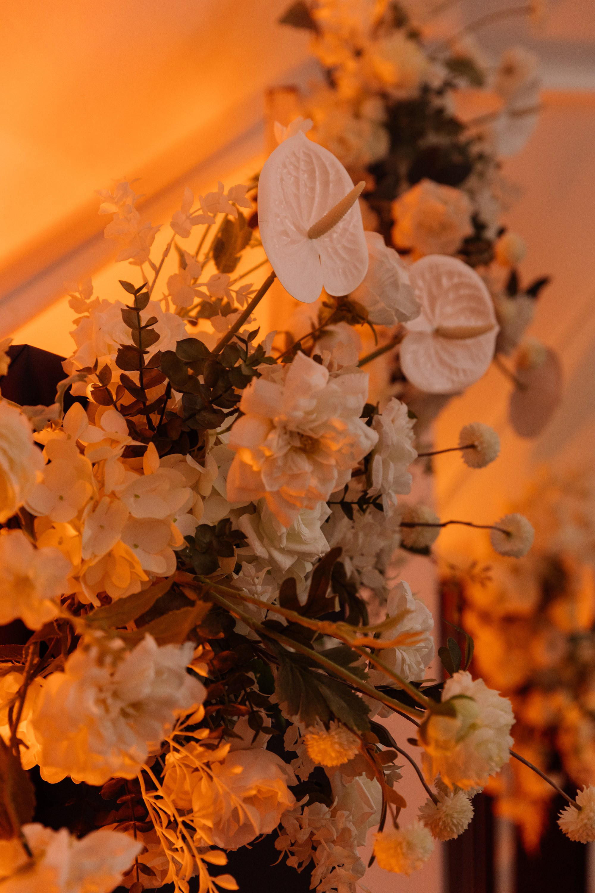 Изгиб. Свадебный фотограф Дмитрий Воробьев Ярославль