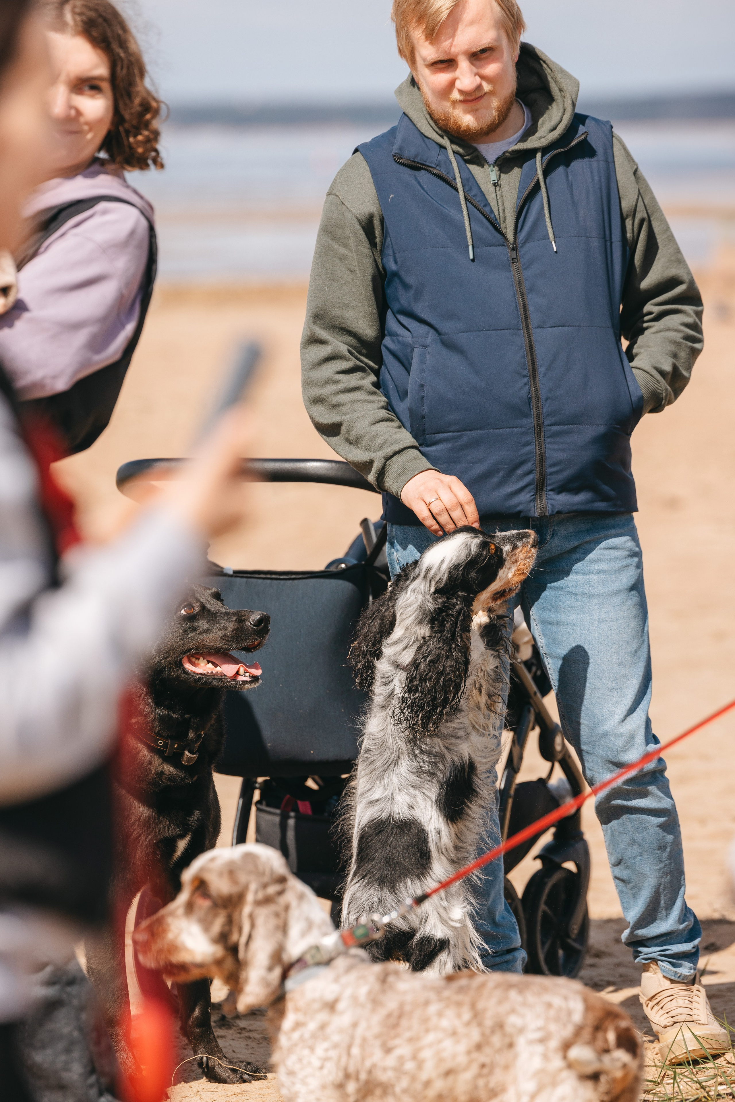 Спанимания. Фотограф анималист Осипчикова Мария