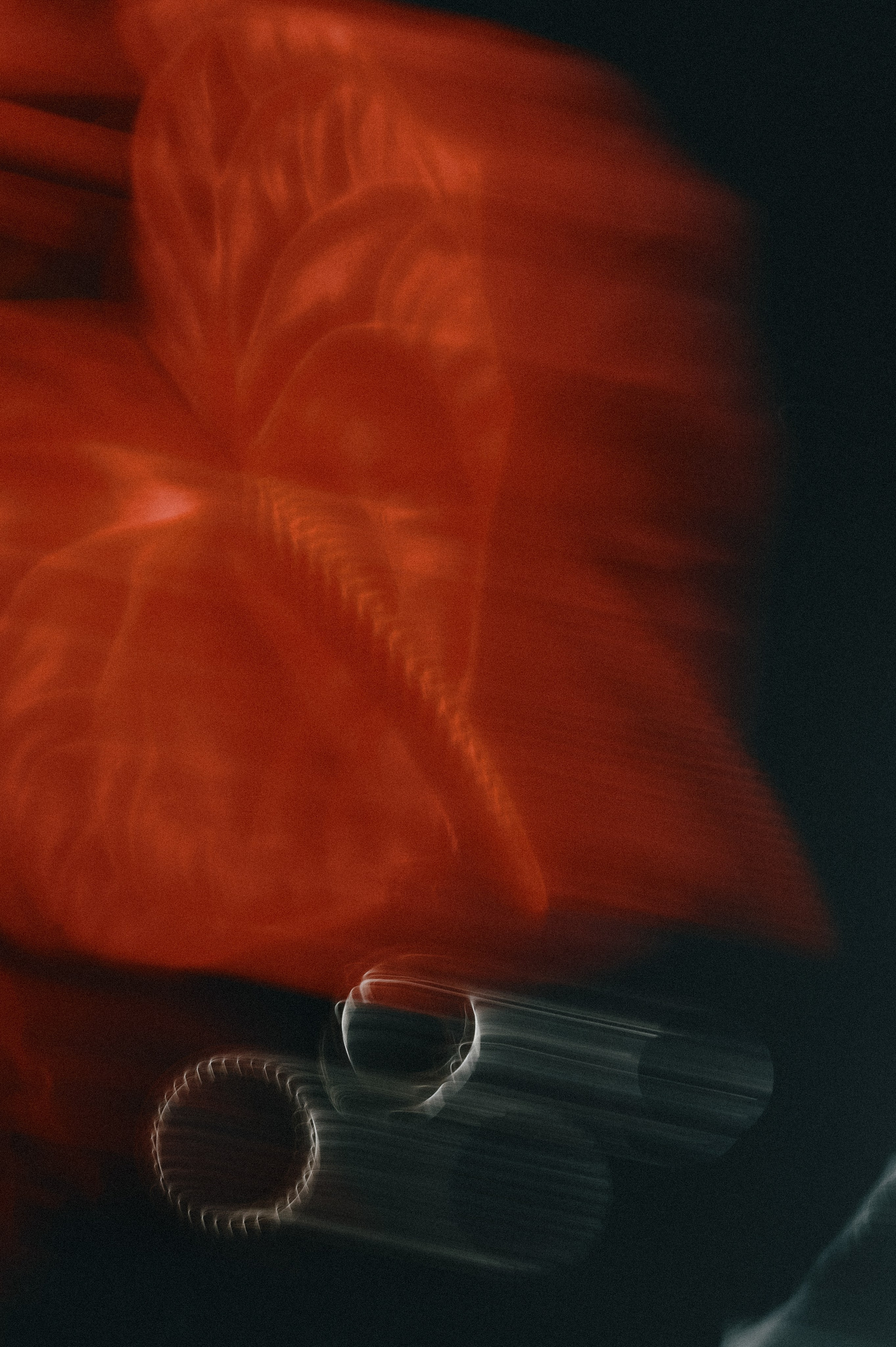 «Nothing stronger than family» Кирилл и Анастасия. Свадебный фотограф и видеограф