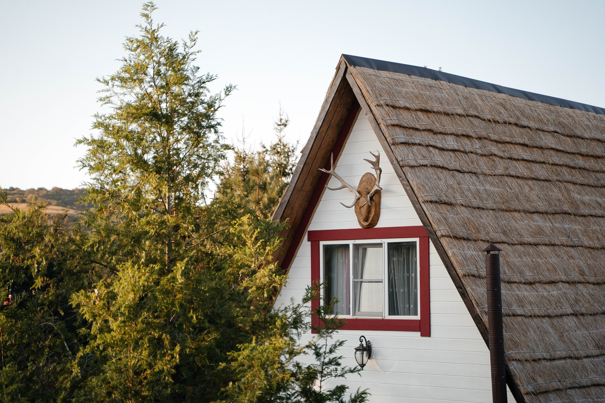 Никита и Альбина — любовь с нотками Италии. Свадебный и семейный фотограф