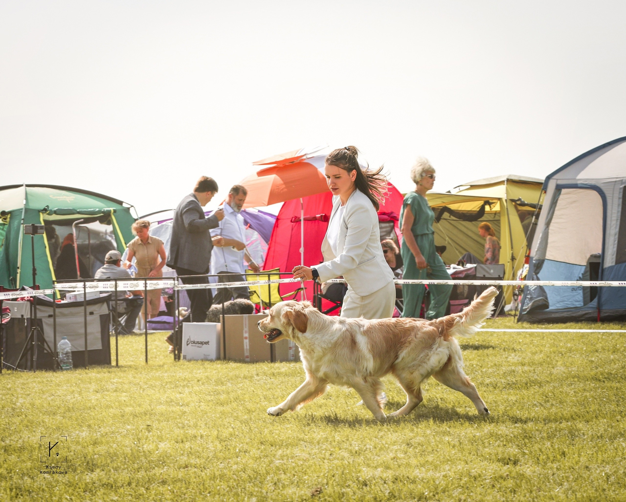 Съемка собак. Анималистика. Репортаж. Индивидуальная съемка