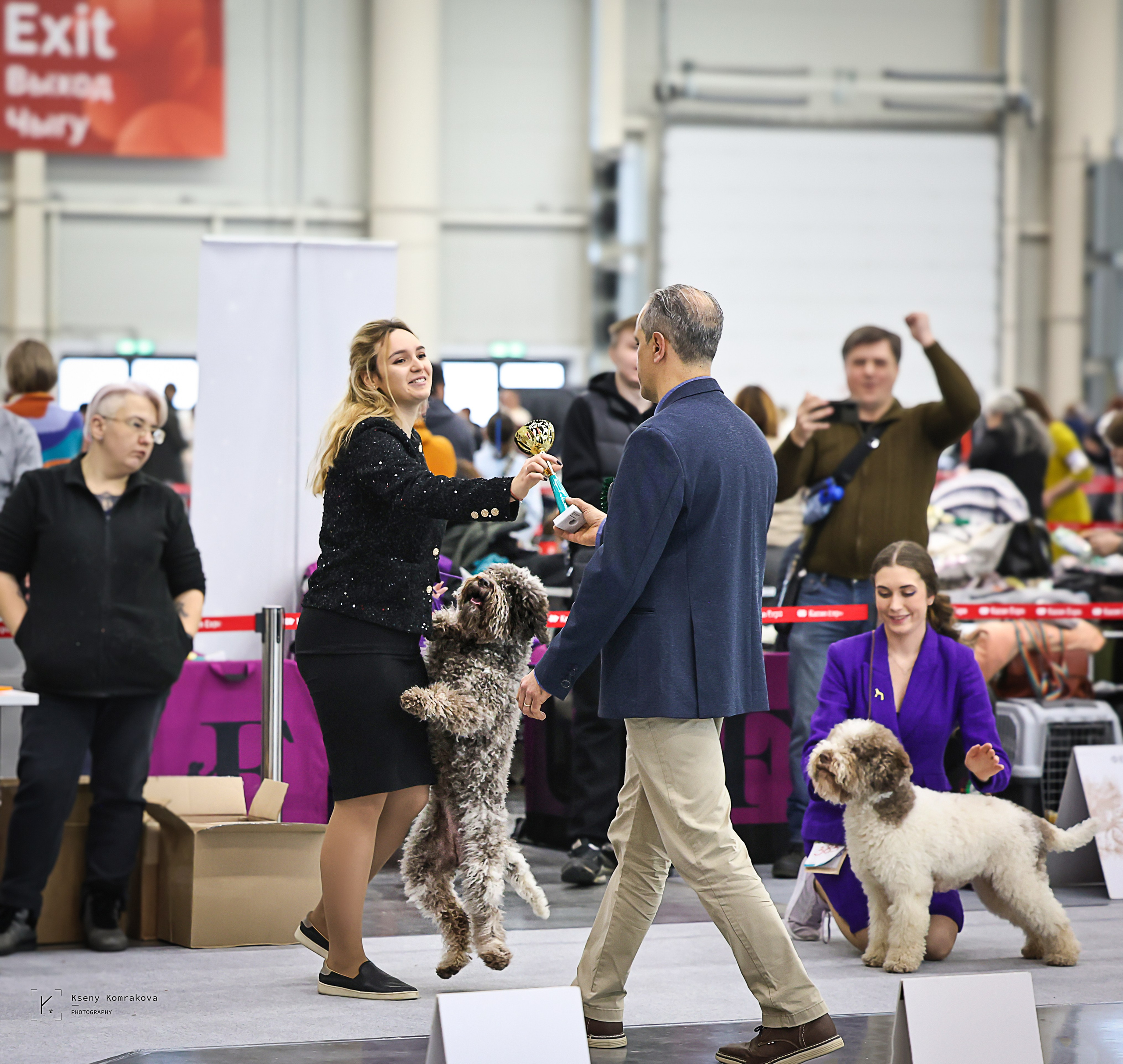 Съемка собак. Анималистика. Репортаж. Индивидуальная съемка