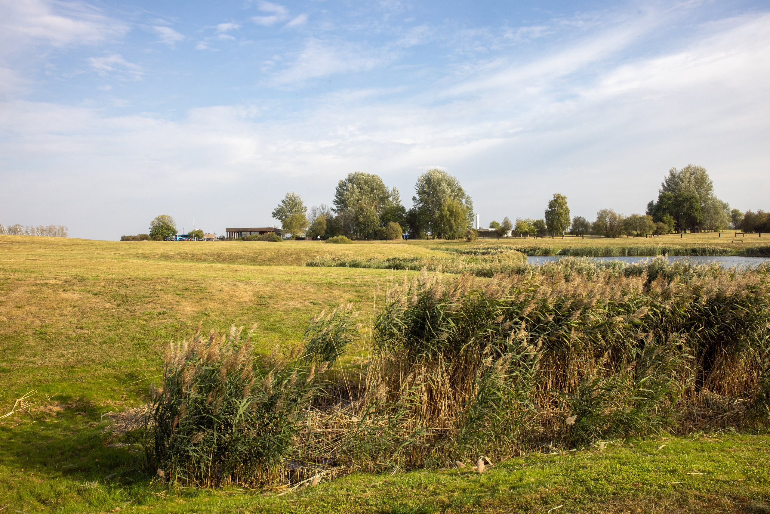 Поездка на поле Кулеково. Фотограф в Туле Крупский АнДРей. Фотостудия «КАДР71» в Туле