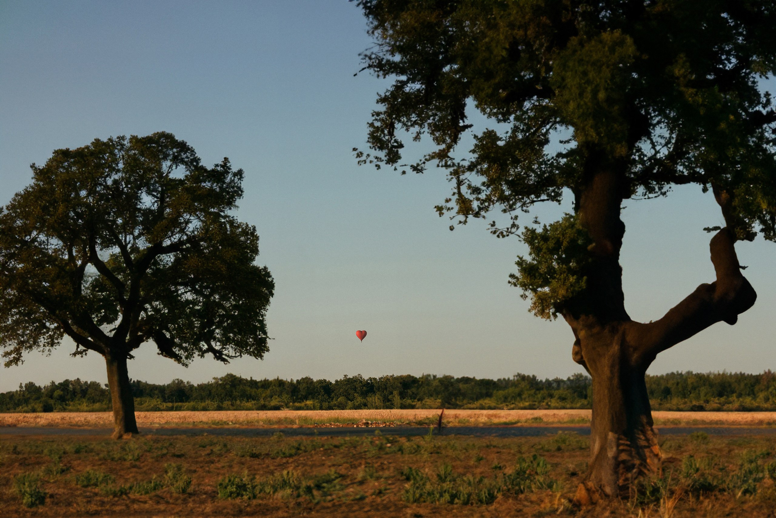 Отзывы. Александр Воропаев — фотограф Самара