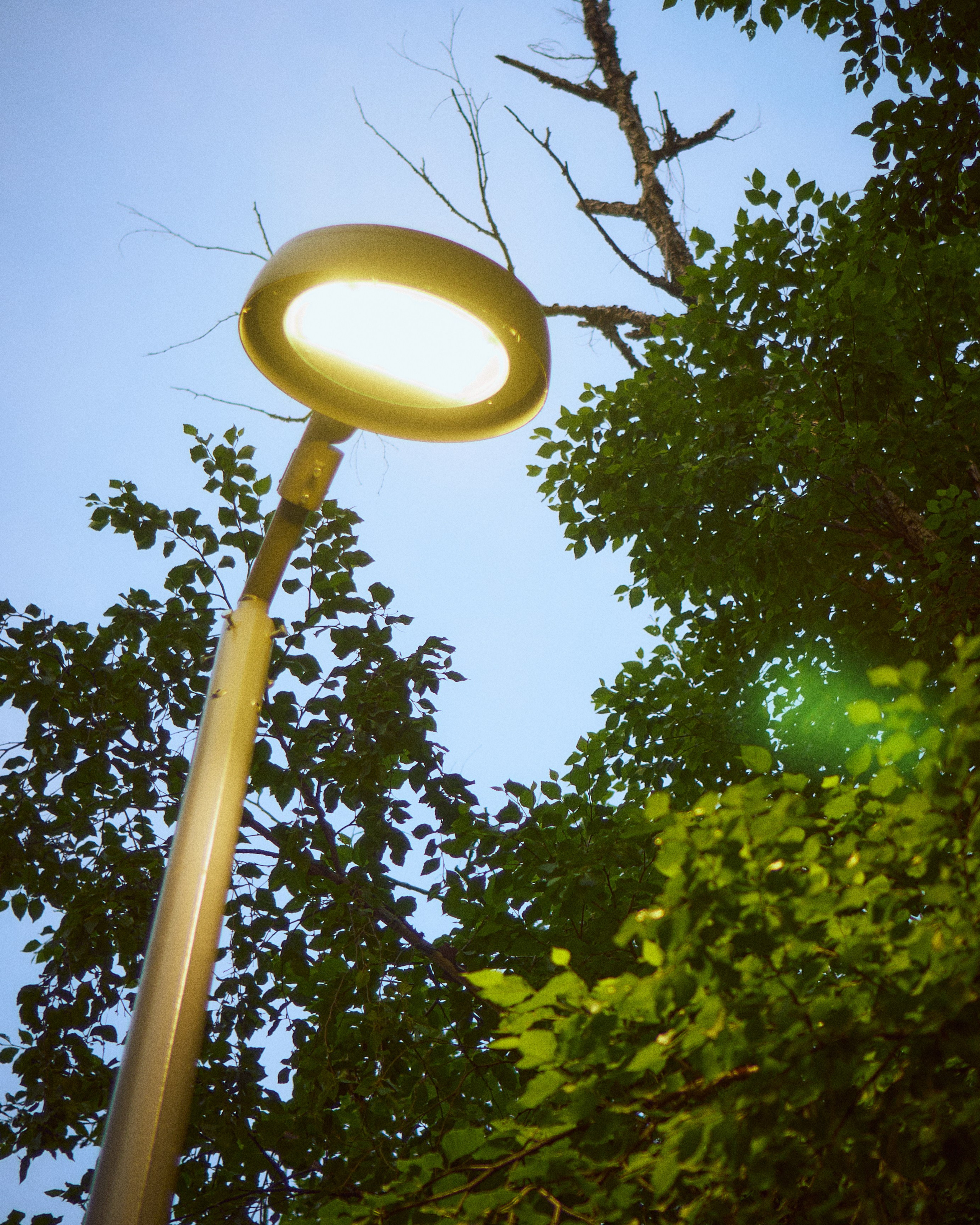 Благовещенск_2025_06_29. ALEXGAVR.PH