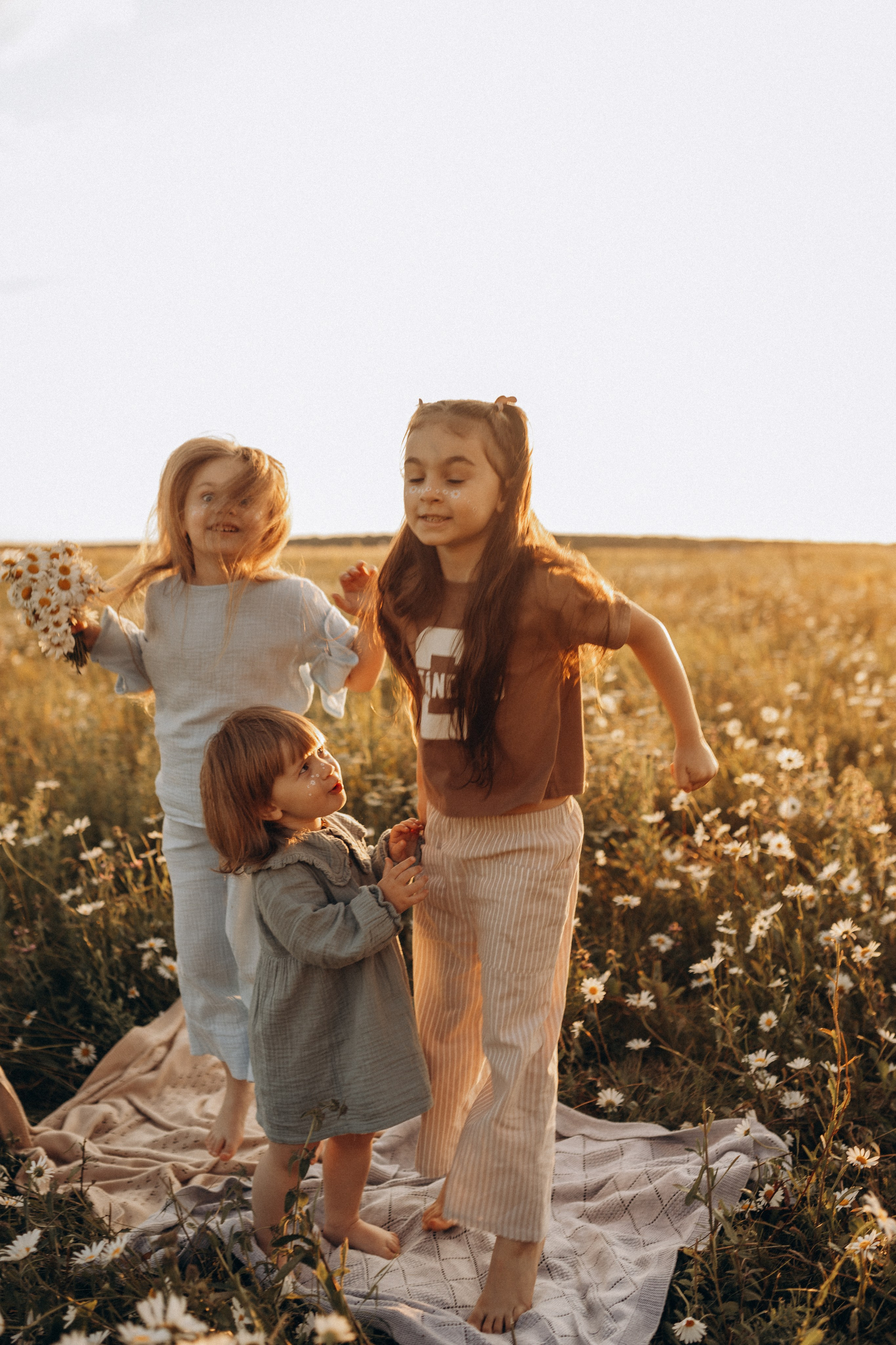 Закат на ромашковом поле. Фотограф в Ставрополе Svetlana Matveeva