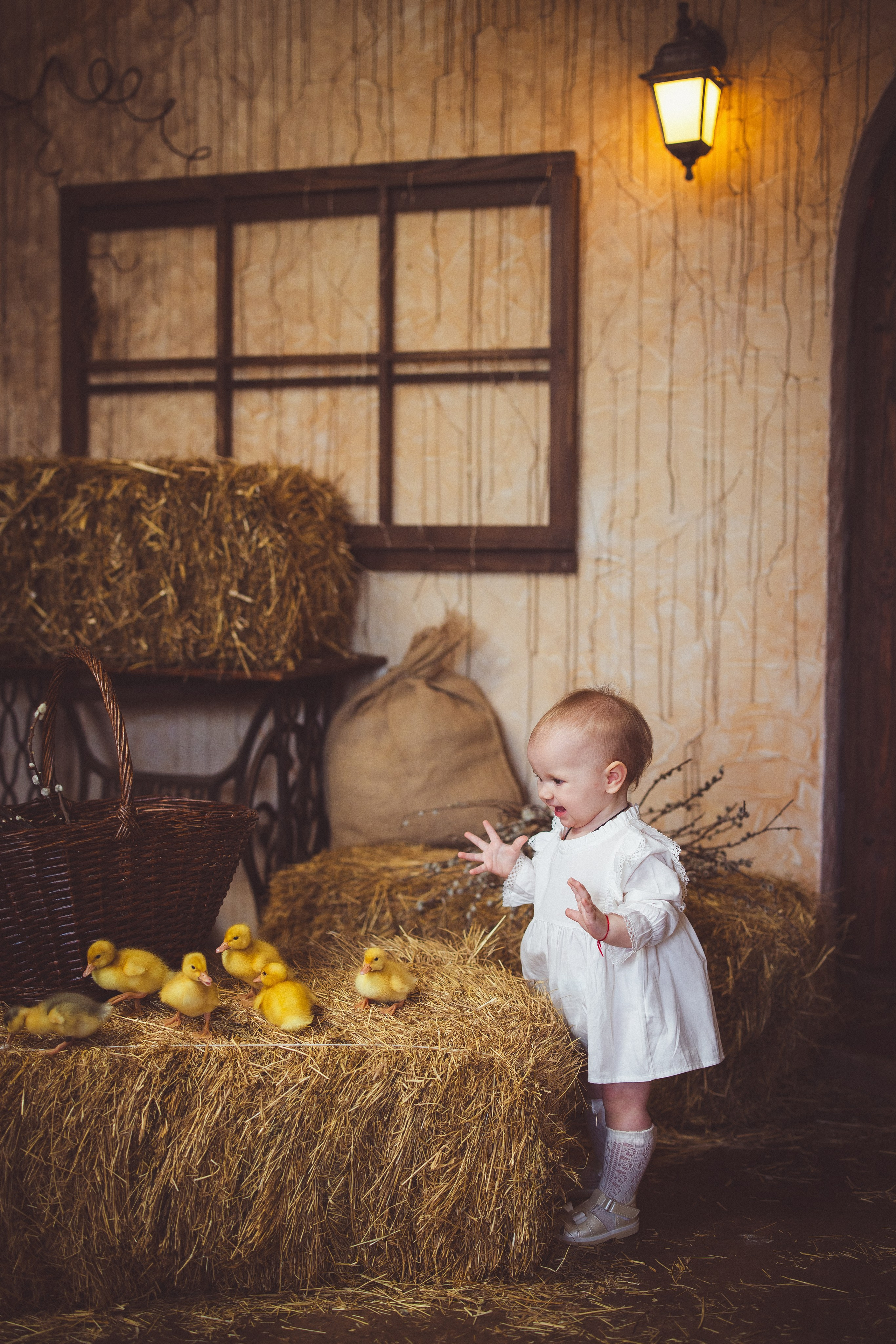 Пасхальный фотопроект с козочкой и утятами, в фотостудии «Эль» 2024 г. Семейный и детский фотограф в Краснодаре Анна Трашкова