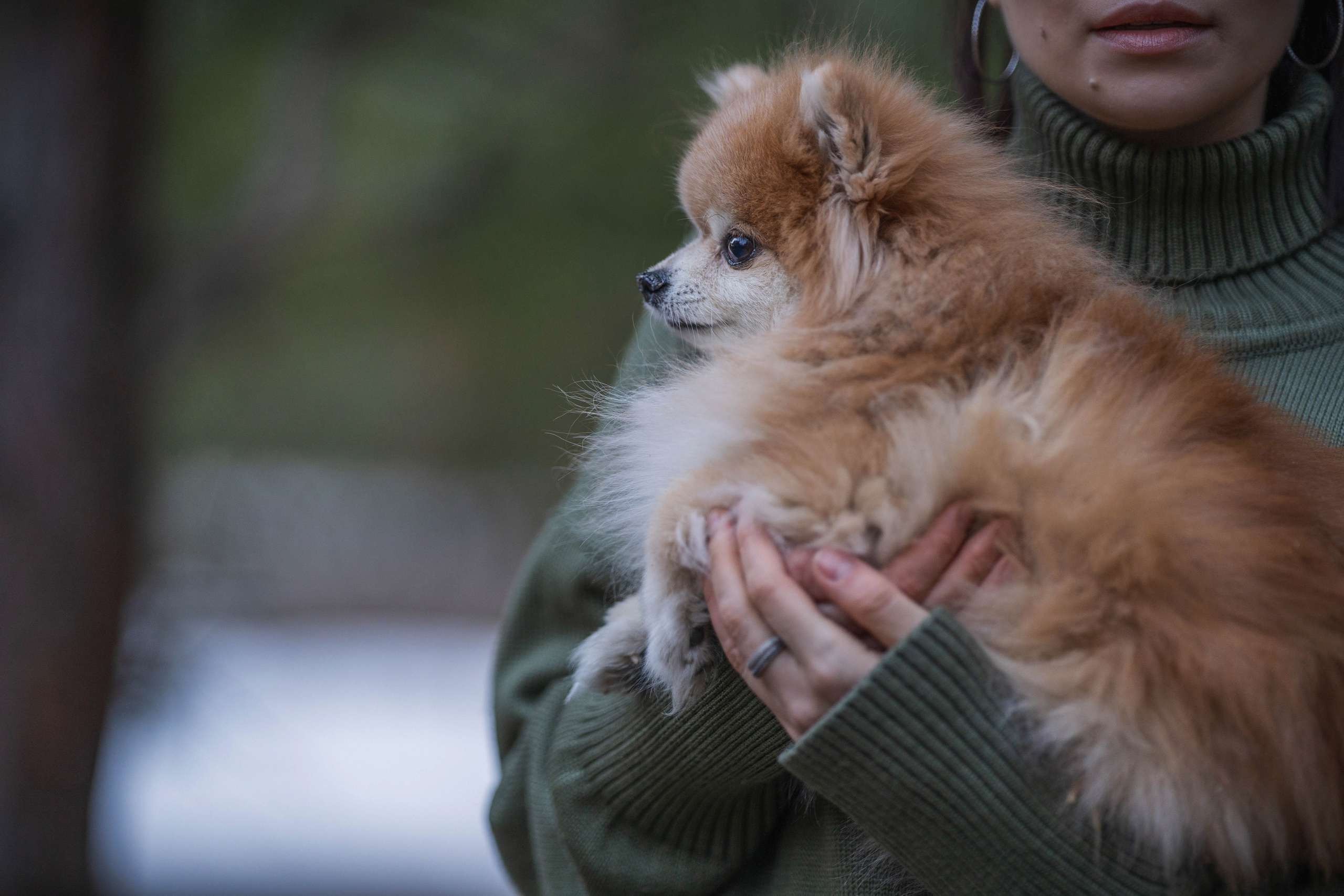 Настя + Бакс (история дружбы). Kameramotor74