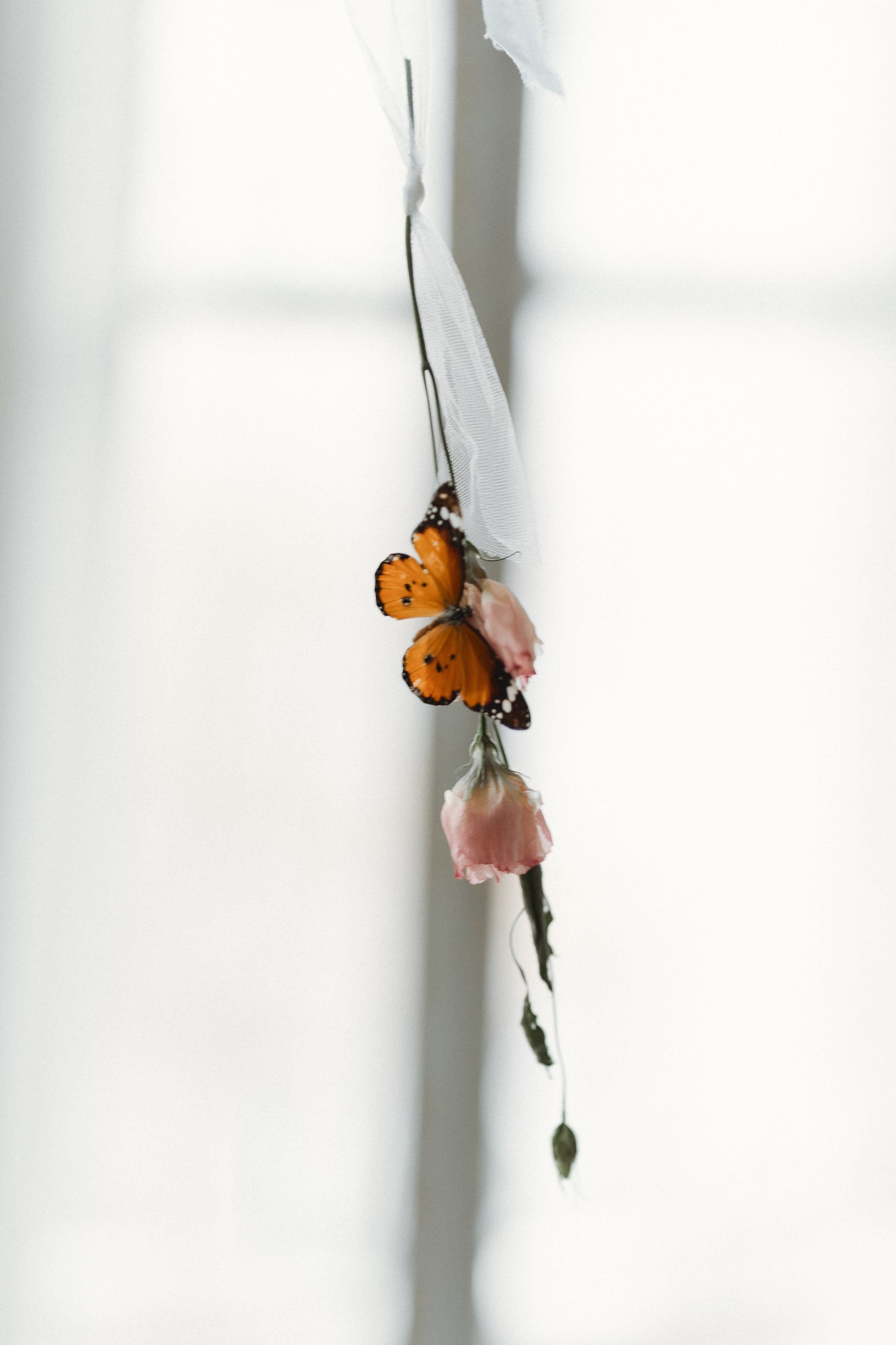 A&M. Фотограф Москва. Екатерина Дударевич