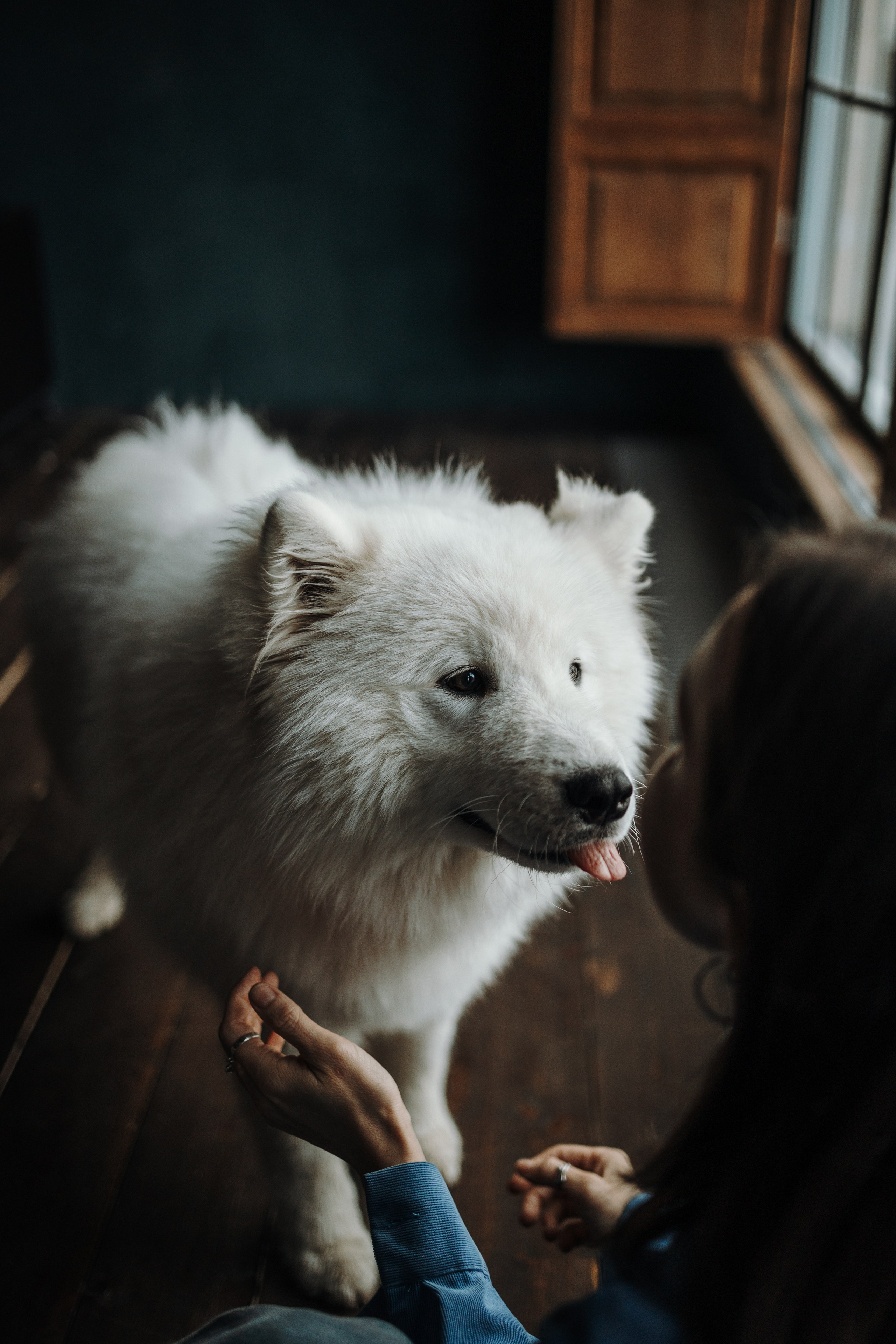 Марина и Мушу. Фотограф — Анималист | Санкт-Петербург