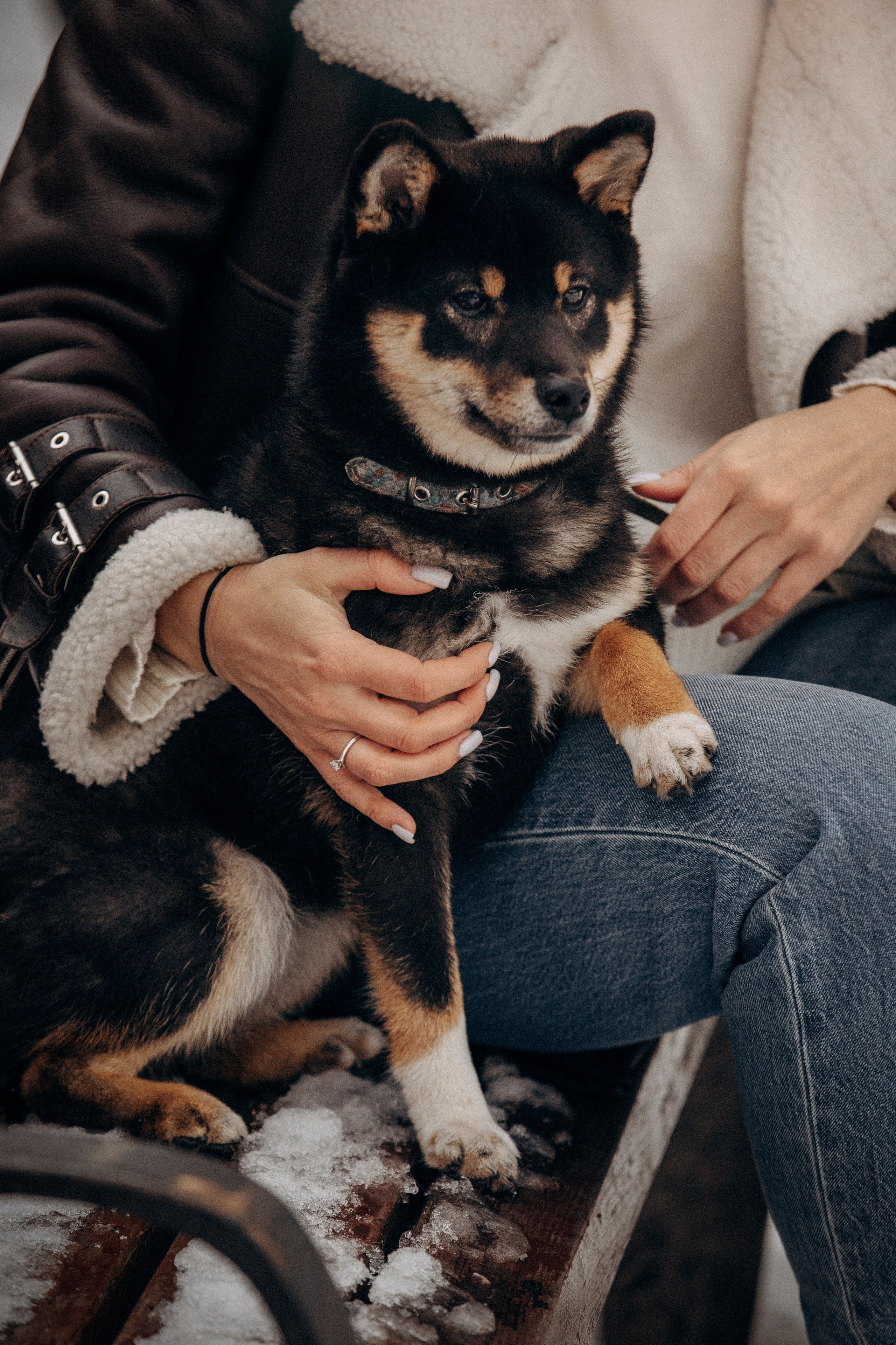 Дарья и Мики. Фотограф — Анималист | Санкт-Петербург