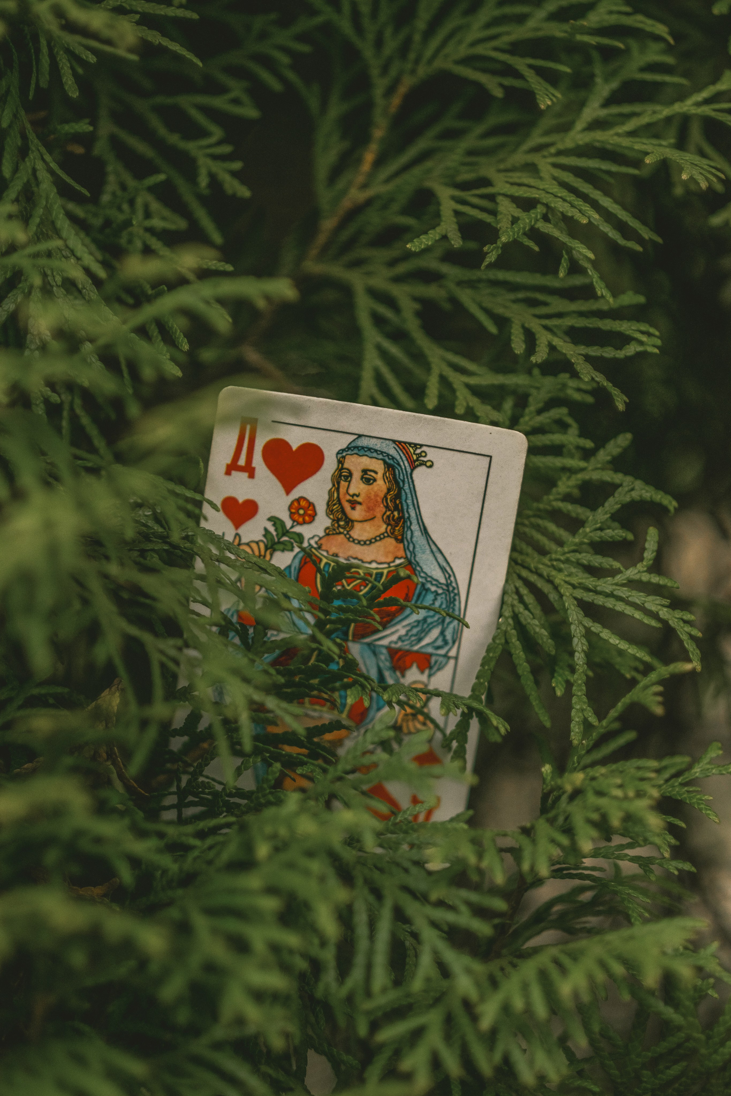 Марина | Красная королева. Varezhka photo | фотограф для души