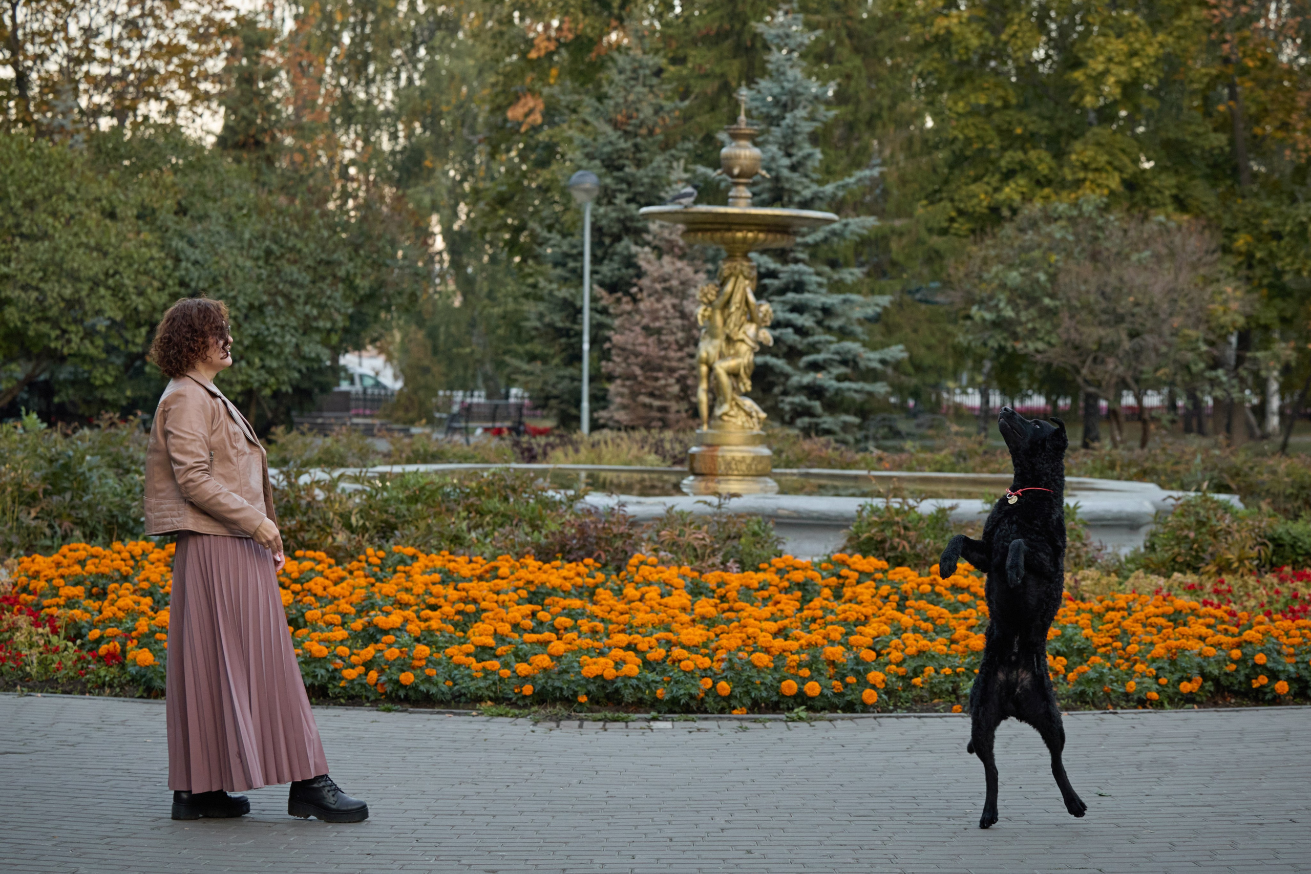 Альбина. Марфа и Мистик. Прогулка в парке. Фотограф анималист в Казани Алина Сулейманова. Фотограф животных