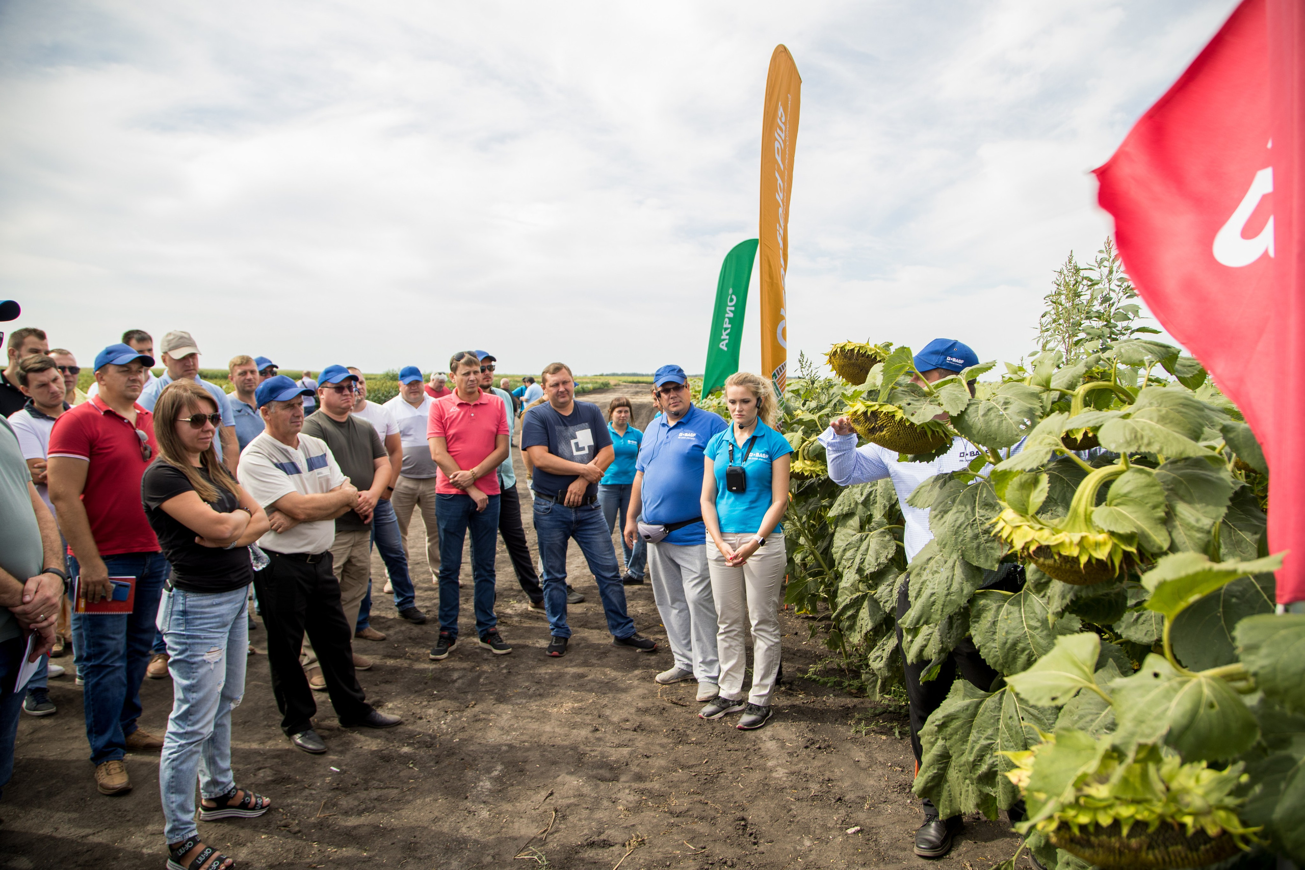 Решения для сельского хозяйства BASF 16.08.2022. Владислав Волков | Фотография и видеосъемка в Воронеже
