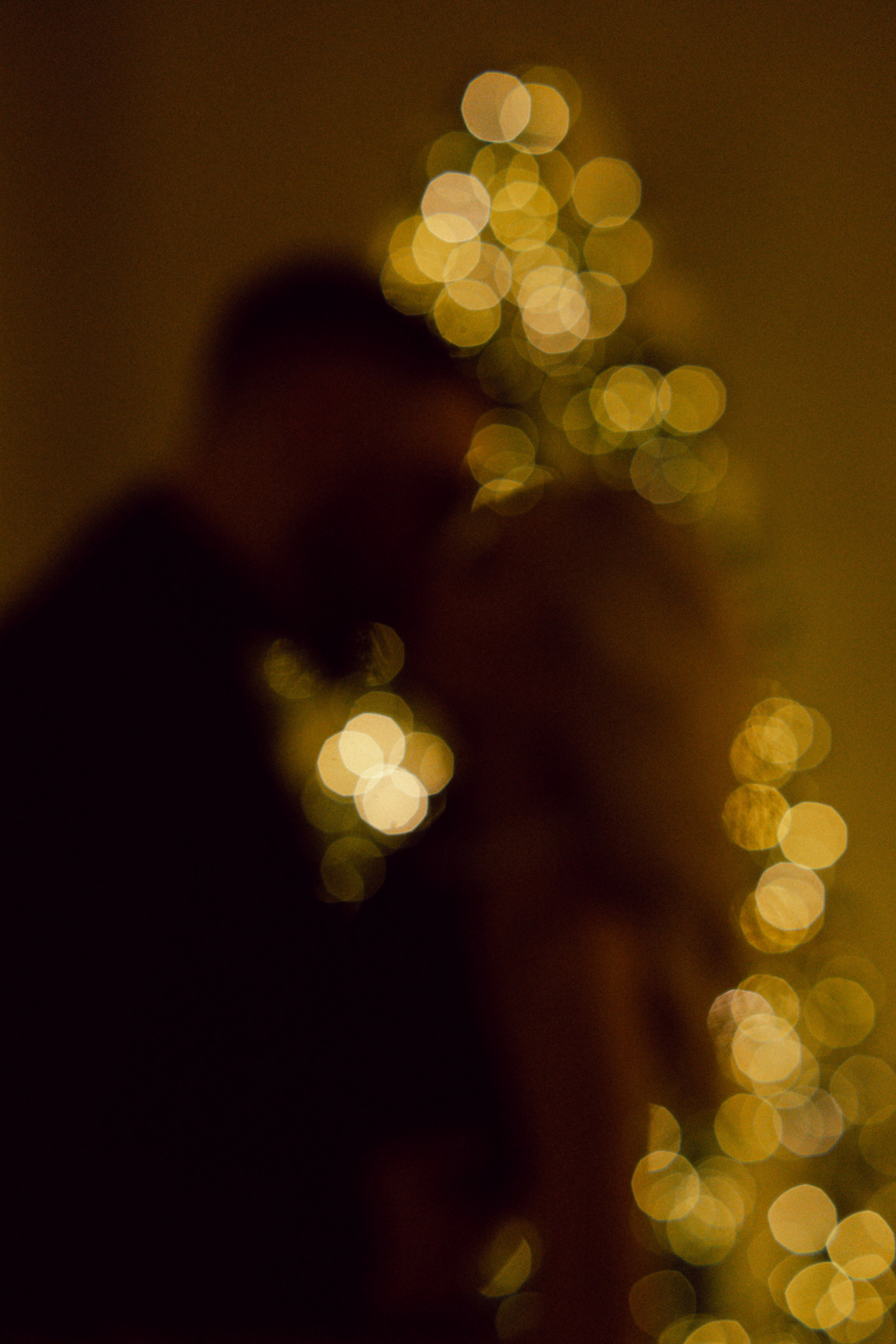 Семья Конкиловы. Фотограф в Москве Шалышко Ангелина